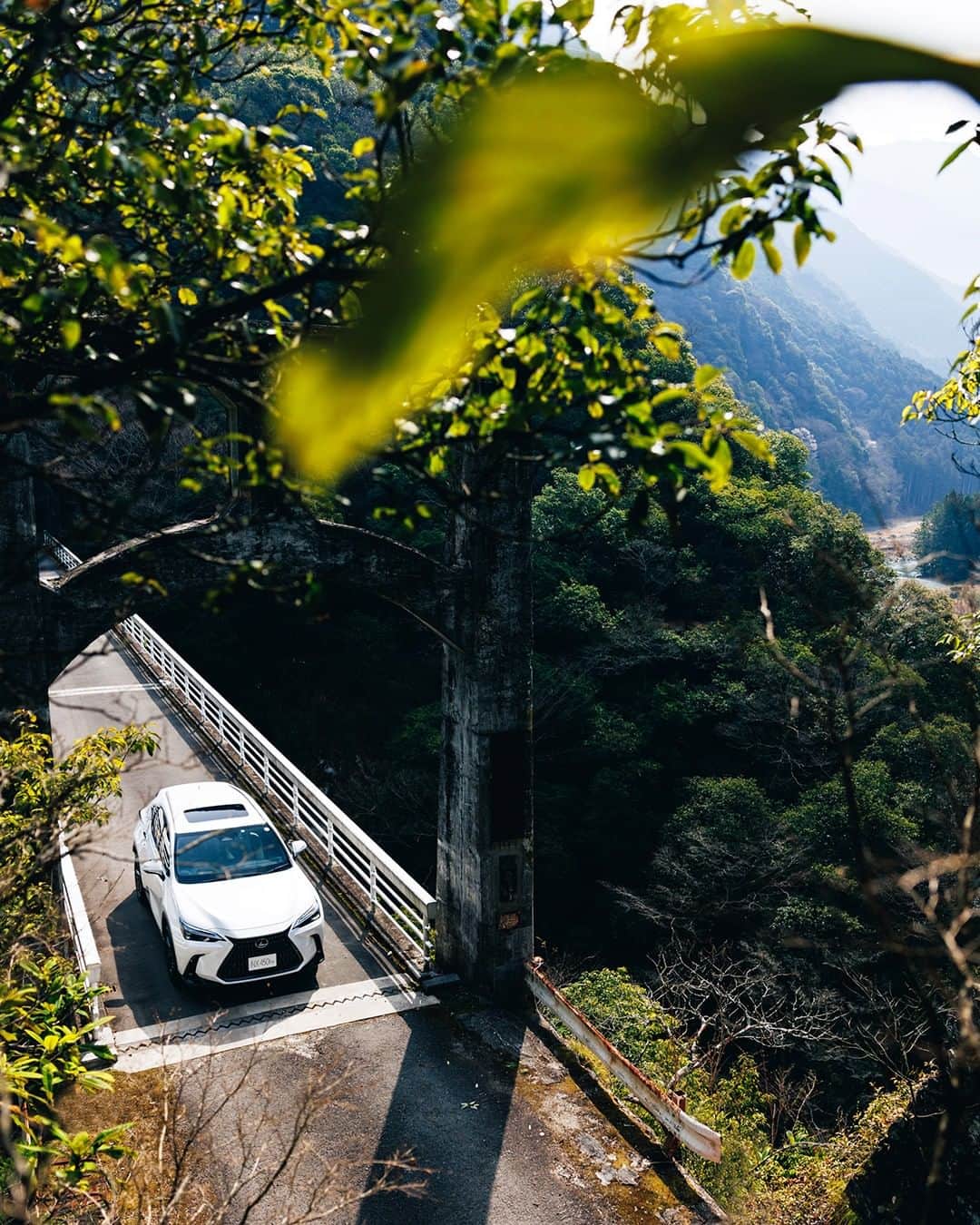 LEXUS / レクサスさんのインスタグラム写真 - (LEXUS / レクサスInstagram)「- LEXUS NX -  #Lexus #LexusNX #NX #lexusgram  #lexuslife #lexusjpphotography #SUV #luxurysuv #carsofinstagram #carlifestyle #carphotography #LexusGallery  #drive #whitecar #luxury #lexusnation #dailylexus #carlovers #carlove #carscene #caraddict #carculture #automobiles #fastcar #carnews #carcollection #nicecar #instacars #automotivephotographer」7月19日 10時00分 - lexus_jp