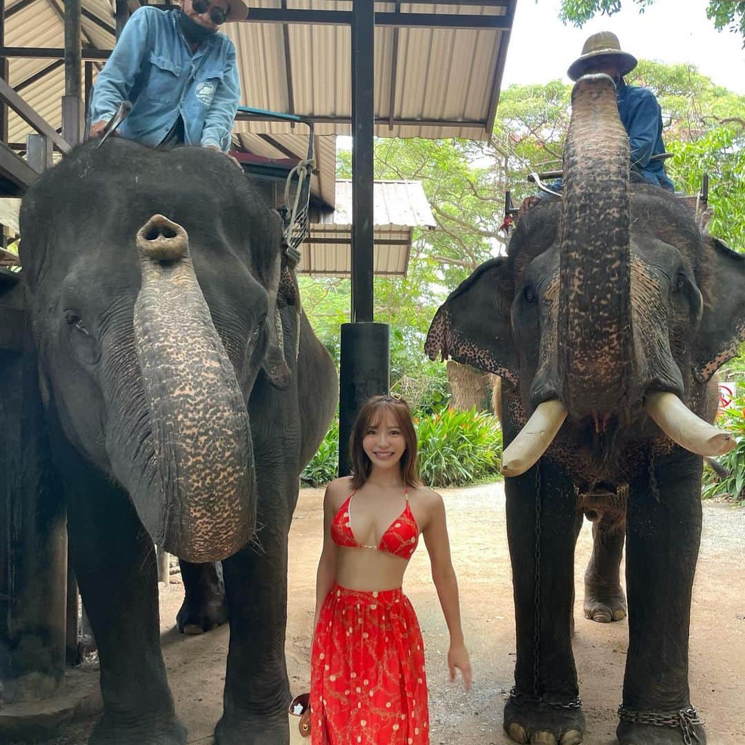COCOさんのインスタグラム写真 - (COCOInstagram)「象乗り体験🐘🇹🇭 タイでは象は、王を守り先頭を切って戦う勇気と誇りの象徴とされてるみたいです👏 私を乗せてくれてありがとう💓  賢くて可愛くて愛おしかった☺️ タイに行った際は皆にぜひ体験してほしいです✨  そして日本に帰国しました🇯🇵 旅の記録はYouTubeにアップ予定なのでお楽しみに💛  #elephant #elephantlove #象乗り #象乗り体験 #Thailand #thailandpattaya #elephantvillage」7月19日 12時14分 - coco_coco000