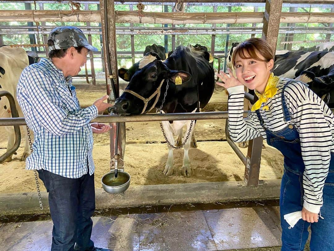 澤井志帆さんのインスタグラム写真 - (澤井志帆Instagram)「.2022.7.19 ⁡ 大好きな牛乳のロケ🥛🤍 ⁡ この日は丹那牛乳の取材でした！ 牛さん可愛い🐮 ⁡ 丹那牛乳で作る「牛乳リゾット」がすごく美味しかった♩ レシピはごちそうカントリーのHPに載っています！ ⁡ 写真を見返していたらロケ中のとても楽しそうなシーンを発見しました✌🏻 両側から同時ツッコミ？！＾＾ 当時どんな会話をしていたんだろう🤔笑 ⁡ ⁡ ⁡ #DaiichiTV#アナウンサー#ごちそうカントリー#ごちカン#牛乳#丹那牛乳#静岡県#函南町#オラッチェ」7月19日 19時15分 - shiho_sawai