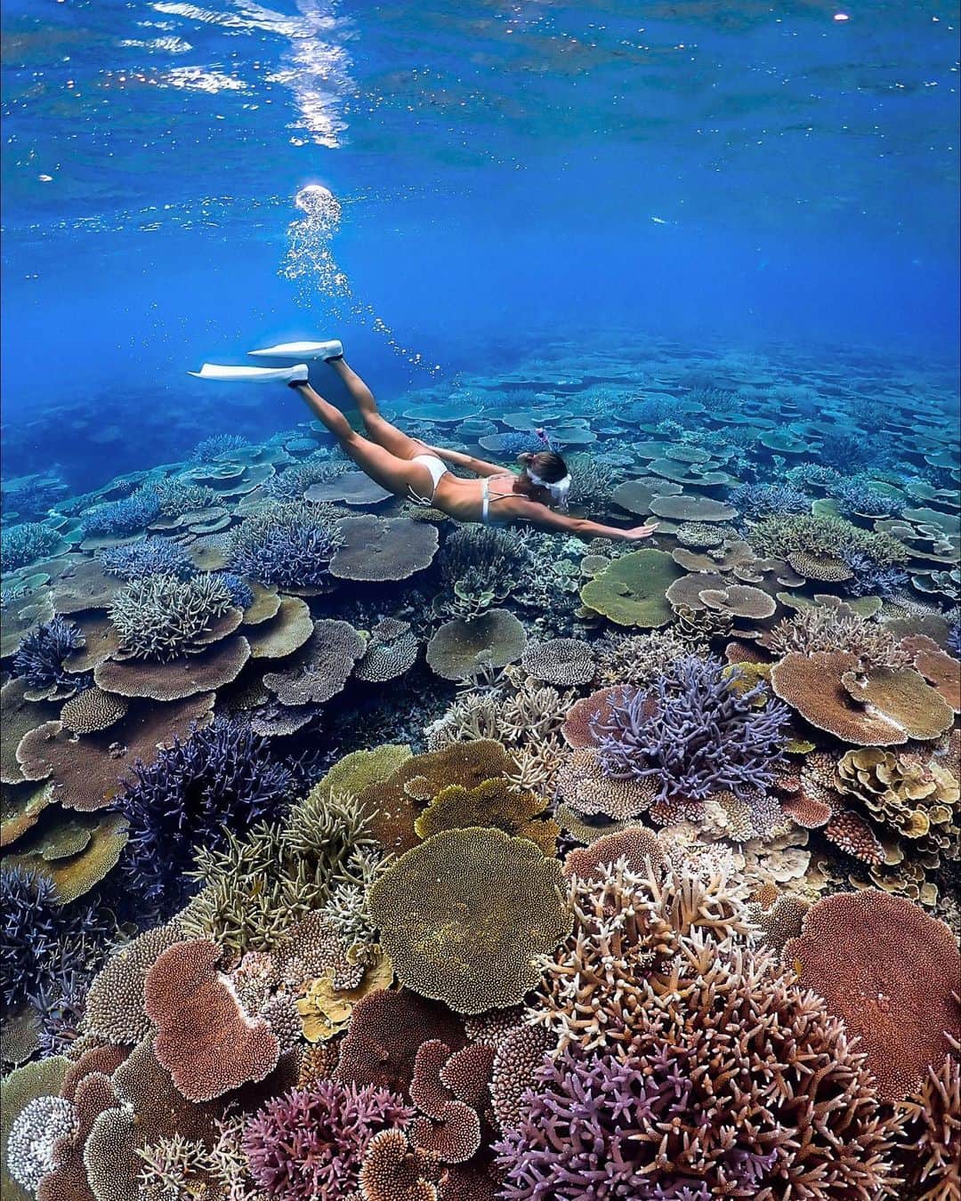 山中美智子さんのインスタグラム写真 - (山中美智子Instagram)「夢みたいなポイントで泳がせてもらいました✨  こんなにカラフルなサンゴ礁は久しぶり🥹✨👏🏽  美しすぎた✨🙏🏾  @masaru_tabiwaku  @irie_marine.miyakojima」7月19日 23時34分 - alexiastam1988