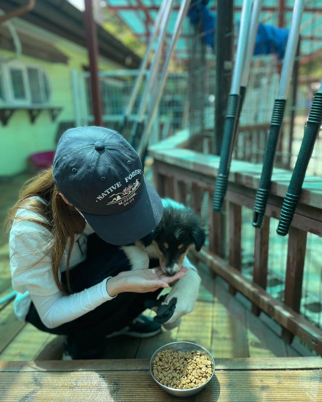 ソン・ダウンさんのインスタグラム写真 - (ソン・ダウンInstagram)「얼른 갈게🐶 @kdsrescue #레인보우쉼터」7月20日 17時46分 - da.eun.da.eun