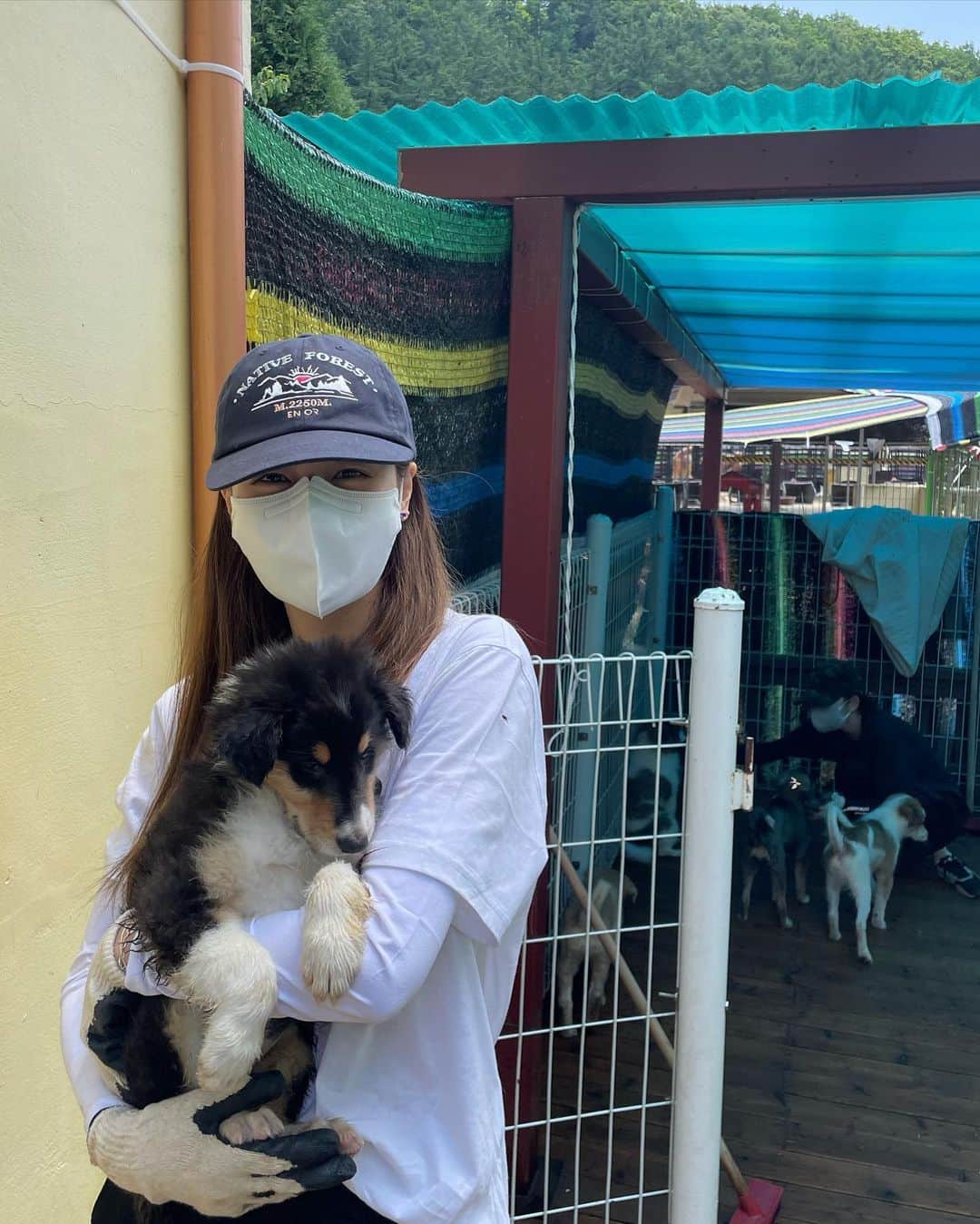 ソン・ダウンさんのインスタグラム写真 - (ソン・ダウンInstagram)「얼른 갈게🐶 @kdsrescue #레인보우쉼터」7月20日 17時46分 - da.eun.da.eun