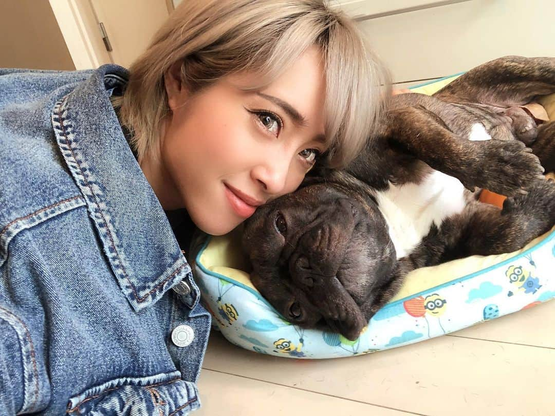 渋谷美穂さんのインスタグラム写真 - (渋谷美穂Instagram)「7月20日🐶🌈🐾 今日はこたろうの6歳の誕生日🎂 きっとこたのことを知らない方もいるかと思います🥲 この投稿をきっかけに"こたろう"という 私の愛する可愛い可愛いわんちゃんが、 この世に存在していたことを少しでも 知ってくれたら嬉しい🌱  2020.07.16 脊髄軟化症という病を発症し4歳のお誕生日を目前に お空へと旅立ちました🕊 ⁡ あれからというもの、私は1日たりとも こたのことを忘れは日はありません‼️ 　 人生で初めて大切なものを失う辛さを知りました。 骨壷を抱いて何度も泣いたし、 ふとした瞬間に思い出しては、 いつだって自然と涙がこぼれ落ちます。 #今だって泣いてるよ ⁡ 何年経とうとも毎日愛しているし、 愛おしいと思う気持ちは色褪せることはありません😌💕 もちろんこれから先も✨ ⁡ こたろうのおかげで 心の痛みを知り、強くなり、人の心の痛みを理解し、 優しくなれた気がする🍀 ⁡ あんなに小っちゃいくせに、 私を大きく成長させてくれた そして、命の尊さを教えてくれた ⁡ 旅立つ命、産まれる命 きっとどこかで繋がってるよね？ ⁡ これから先も私たちはずっとずっと家族だよ☺️ ⁡これからもずっとあいしてるよ ⁡  #フレンチブルドッグ#フレブル#フレンチ #脊髄軟化症#Frenchbulldog#はなぺちゃ #虹の橋#愛犬#愛犬家#家族#ペット #犬#わんちゃん#いぬのいる暮らし」7月20日 20時03分 - miho_fitness