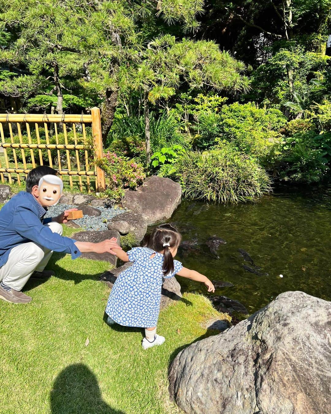 磯部奈央さんのインスタグラム写真 - (磯部奈央Instagram)「熱海🌊  思い出記事ですが、、 主人が出張だったときに、私の両親と娘と4人で熱海へ行ってきました🚅  お宿は「料亭旅館 熱海 小嵐亭」の、離れ貴賓室という、お庭付きのお部屋に宿泊しました🤍お庭で走ったり、鯉にエサをやったり、娘も楽しそうでしたし、お食事も部屋食でゆっくりできたし、子連れにも良かったです😊🤍  「石川屋」のオムライスとラーメンが忘れられないなぁ…🤤 また行きたい🙌🏻  ２日目は、娘、鉄板焼きデビューでした😁🥩🍴  #熱海 #熱海子連れ旅行 #子連れ旅行」7月20日 20時27分 - nao_isobe729