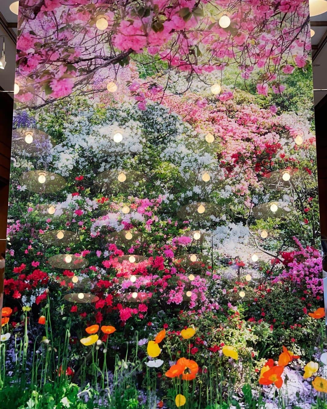 西川瑞希（みずきてぃ）さんのインスタグラム写真 - (西川瑞希（みずきてぃ）Instagram)「素敵なじかん。どこを切り取っても美しい。。🕊  特に映像のお部屋は、まるで夢の中にいるようなやさしい世界。  心までとっても満たされました💜  #東京都庭園美術館 #瞬く光の庭」7月21日 18時53分 - mizuki_nishikawa_