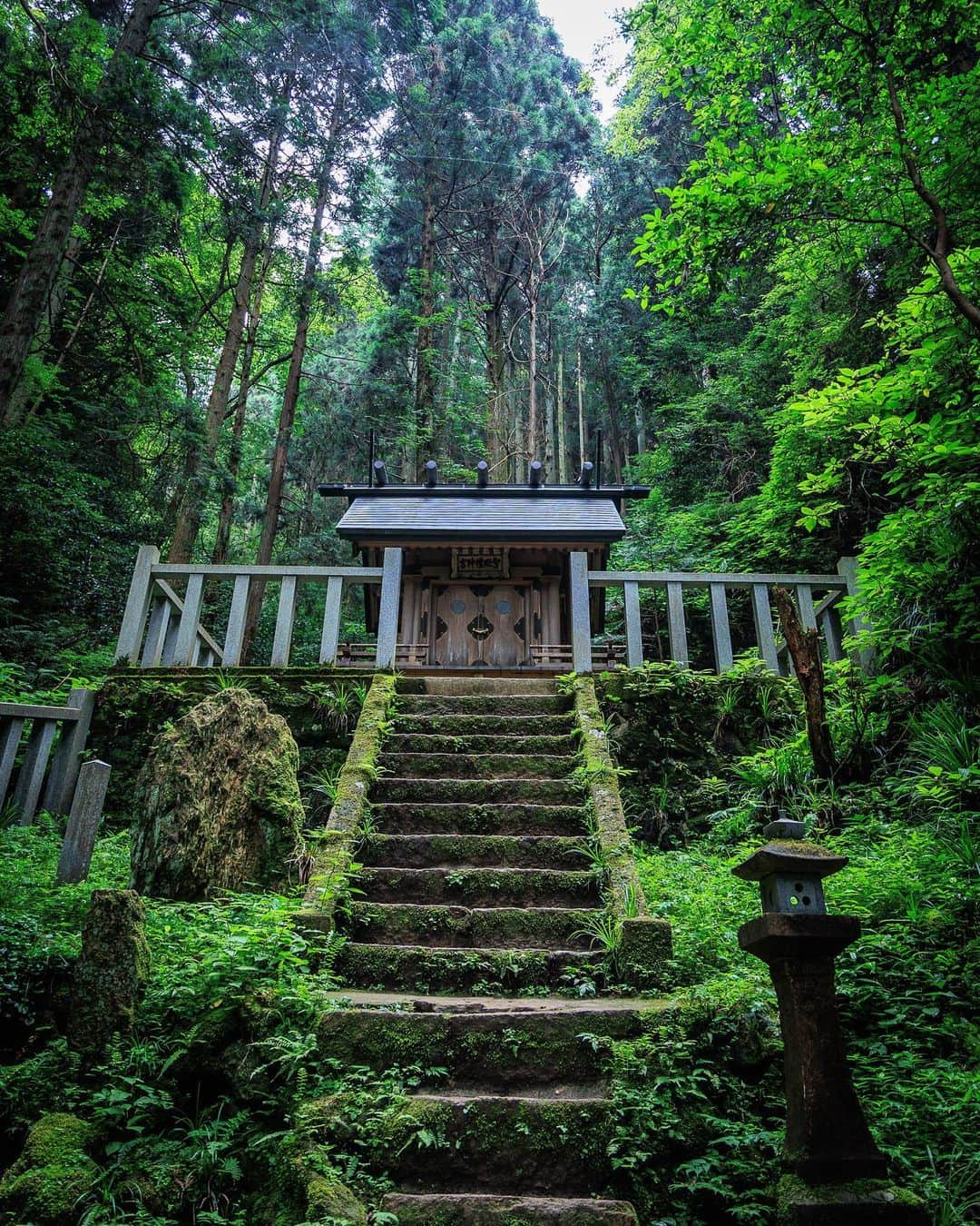 SHOCK EYEさんのインスタグラム写真 - (SHOCK EYEInstagram)「茨城県にある御岩神社⛩  ある宇宙飛行士が宇宙から日本を見下ろした時に、この御岩神社から空に向かって光の柱が立っていたのが見えたと言う。  ここは、神社好き界隈では有名な超絶パワースポット✨🙏  自然信仰、山岳信仰の地であり、神仏習合時代の色合いを強く残す御岩山は、縄文時代から神域とされてる場所だよ。  本殿の裏手から山にあがっていく片道１時間の登山道。  雨上がりの山は鮮やかな緑に色づいて、なんとも言えない雰囲気を醸し出していたよ。  途中、山間に鎮座するお気に入りの、かびれ神宮に手を合わせた後、 また山頂を目指して登っていく。  そして、やっと辿り着いた山頂。 見晴らしのいい山頂。 実は、そこに静かに立つ石柱がある。   小さな祠に石柱。  まさに神域、、 そんな感じの雰囲気。 手を合わせ、感謝を伝え、最後に写真を撮らせてもらいます🙏 とお願いをしてからパチリ📸  どう？ 伝わるかな？  この雰囲気。  このパワーを皆さんにお裾分け✨  #御岩神社 #茨城県 #御岩山 #かびれ神宮 #山岳信仰 #自然信仰 #パワースポット」7月22日 11時54分 - shockeye_official