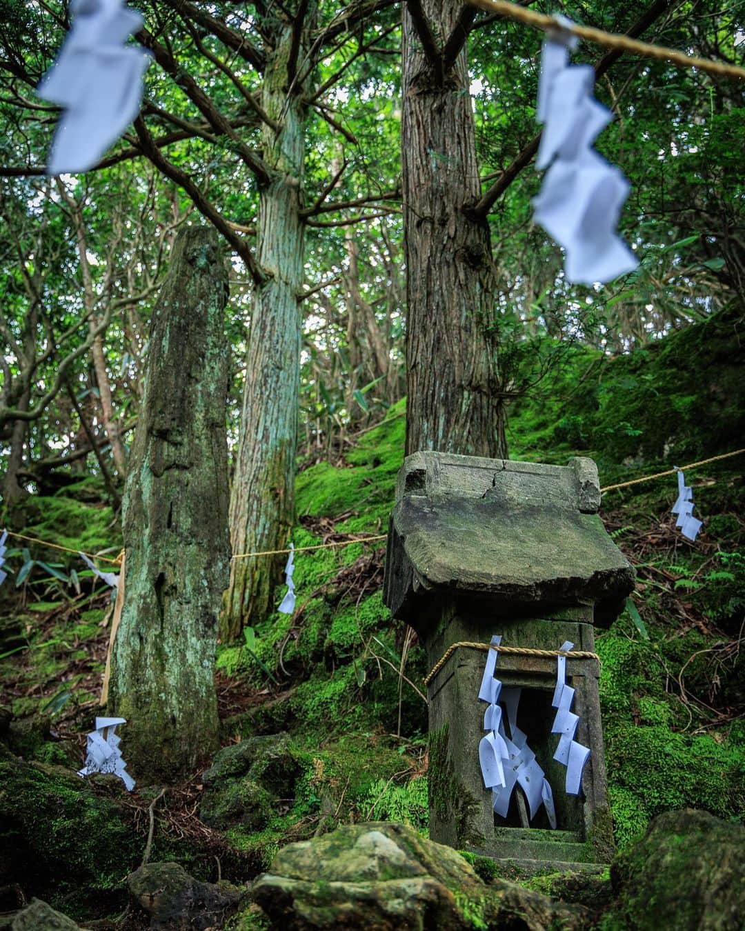 SHOCK EYEさんのインスタグラム写真 - (SHOCK EYEInstagram)「茨城県にある御岩神社⛩  ある宇宙飛行士が宇宙から日本を見下ろした時に、この御岩神社から空に向かって光の柱が立っていたのが見えたと言う。  ここは、神社好き界隈では有名な超絶パワースポット✨🙏  自然信仰、山岳信仰の地であり、神仏習合時代の色合いを強く残す御岩山は、縄文時代から神域とされてる場所だよ。  本殿の裏手から山にあがっていく片道１時間の登山道。  雨上がりの山は鮮やかな緑に色づいて、なんとも言えない雰囲気を醸し出していたよ。  途中、山間に鎮座するお気に入りの、かびれ神宮に手を合わせた後、 また山頂を目指して登っていく。  そして、やっと辿り着いた山頂。 見晴らしのいい山頂。 実は、そこに静かに立つ石柱がある。   小さな祠に石柱。  まさに神域、、 そんな感じの雰囲気。 手を合わせ、感謝を伝え、最後に写真を撮らせてもらいます🙏 とお願いをしてからパチリ📸  どう？ 伝わるかな？  この雰囲気。  このパワーを皆さんにお裾分け✨  #御岩神社 #茨城県 #御岩山 #かびれ神宮 #山岳信仰 #自然信仰 #パワースポット」7月22日 11時54分 - shockeye_official