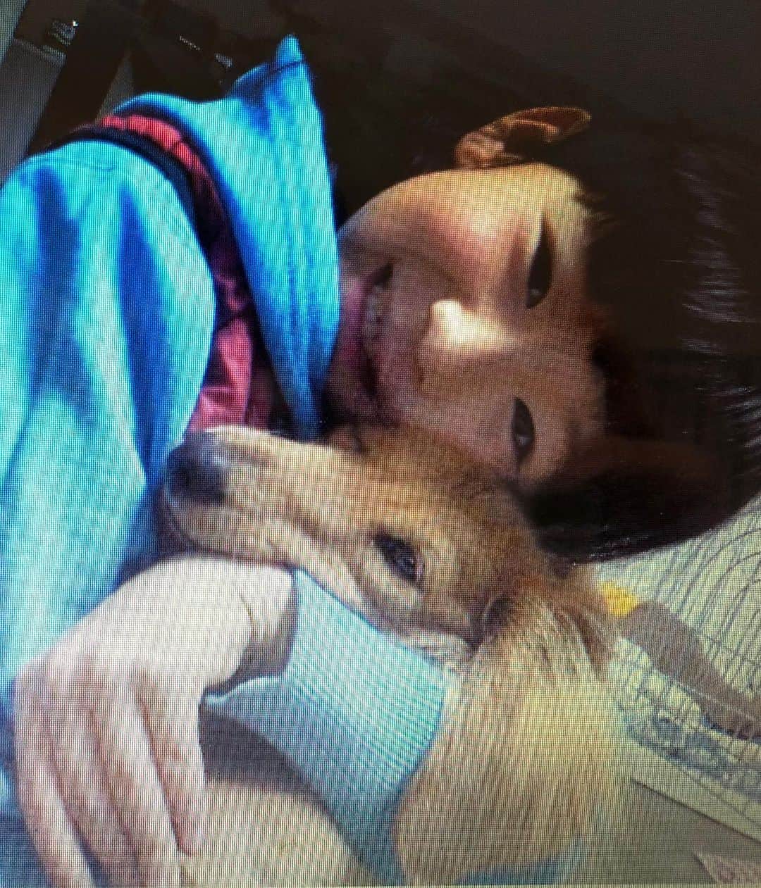 小貫莉奈さんのインスタグラム写真 - (小貫莉奈Instagram)「今日は、愛しいジャックの15歳のお誕生日🎂🎉  長生きしてね🤍  #ツンデレ犬  #抱っこの仕方が上達してる」7月22日 12時36分 - rina_onuki0529