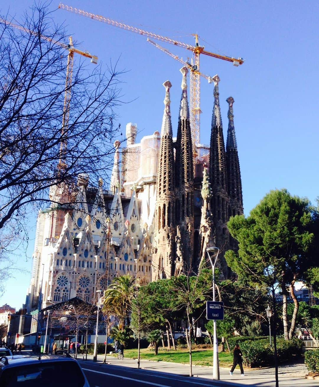 市原彩花さんのインスタグラム写真 - (市原彩花Instagram)「Sagrada Familia🇪🇸  8年ぶりのサグラダファミリア！ また来れて嬉しい😆💖 8年前よりも大きくなってる！(画像5枚目)  150年もの間、建設と修復が続いてるサグラダファミリア😳 2026年に完成するらしい！(本当？🤣) 終わったらまた見に来たいな☺️  #sagradafamilia#サグラダファミリア#barcelona#バルセロナ#barcelonatrip#spain#スペイン#spaintravel#visitspain#スペイン旅行#スペイン観光#ガウディ#海外旅行#ヨーロッパ#ヨーロッパ旅行#バルセロナ旅行#バルセロナ観光#世界遺産#japanesegirl#asianmodel」7月22日 17時16分 - ayaka_ichihara