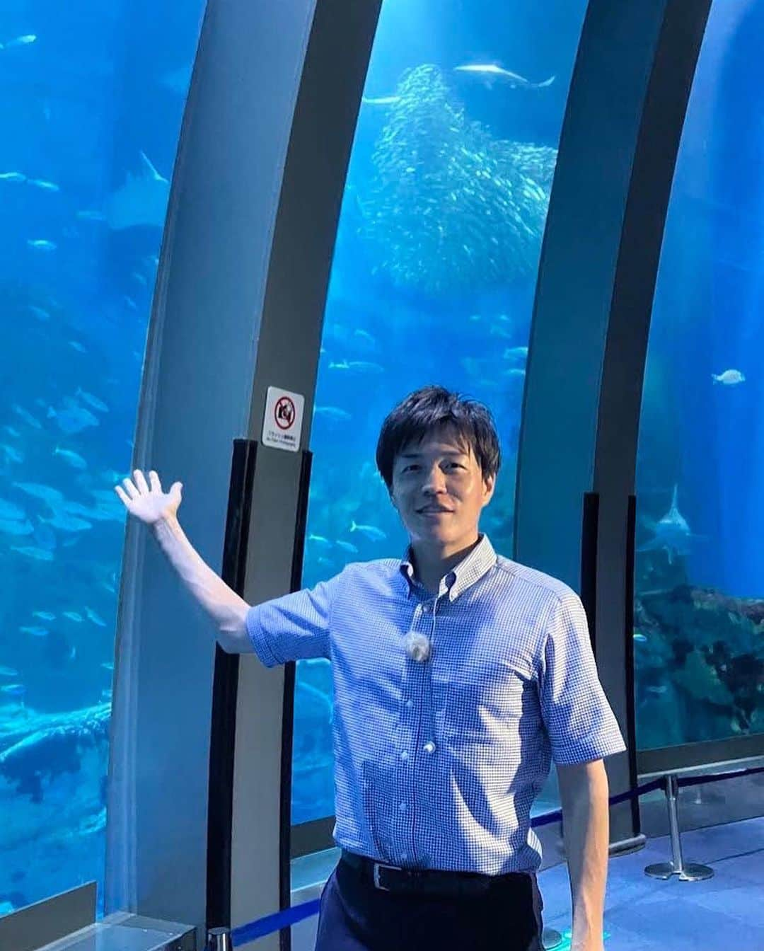 TBS「Nスタ」さんのインスタグラム写真 - (TBS「Nスタ」Instagram)「【🌊八景島シーパラダイスから中継💙】  たくさんのさかなが泳ぐ 巨大な水槽の前からお届けした 幻想的なイワシイリュージョン いかがでしたか？🐟  番組の最後には 八景島シーパラダイスの人気者 シロイルカのプルルくんから "涼しいプレゼント"が…⁉️🎁 最後までお楽しみください💙  #井上貴博 #ホラン千秋 #南波雅俊 #夏休み#SUMMER #八景島シーパラダイス #イワシ #イワシイリュージョン #青い世界 #中継 #人気者 #シロイルカ #登場 #プレゼント #南波アナはここまで #Nスタ #tbs」7月22日 17時58分 - nst_tbs