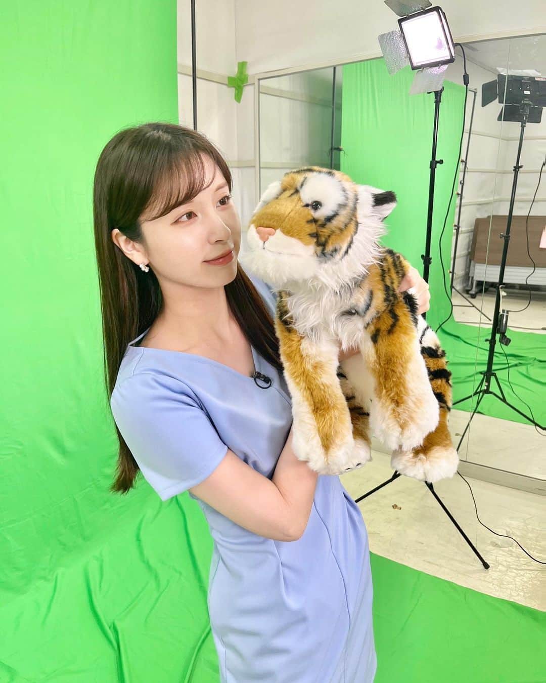 角谷暁子さんのインスタグラム写真 - (角谷暁子Instagram)「7月のBSテレ東の番宣「明日のBSテレ東は？」を担当していますということをお知らせしそびれたままもう7月が終わろうとしています...🐯」7月22日 22時54分 - kadoya_akiko