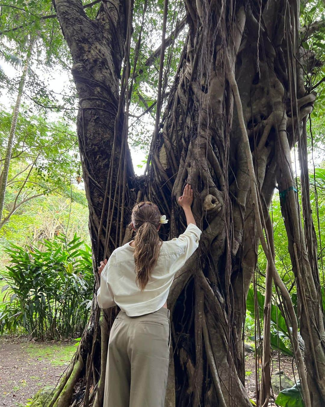 ローラさんのインスタグラム写真 - (ローラInstagram)「Malama Hawaii 🌴✨🦎🌱明日は、朝の10時からハワイ州観光局のチームの人と一緒に、インスタライブでハワイの自然環境のお話や、普段のライフスタイルで取り入れている地球にやさしい行い、お食事法や健康の事などいろいろな事をお話しするよ♪  朝起きていたら、ぜひ遊びにきてね😁🌱  今日もみんなにとって、幸せをいっぱい感じる1日になりますように🕊  Malama Hawaii🌴Tomorrow, I'll talk about Hawaii's natural environment on Instagram live with the Hawaii Tourism Bureau team from 10 a.m. I’ll also discuss the earth-friendly activities that I've adopted in my daily lifestyle, how to eat, how to stay healthy, and more♪（I’ll speak in Japanese）  If you're awake in the morning, be sure to come and see me✨  I hope that today will be another happy day for everyone 🕊  7月24日(日)10時〜30分間✨」7月23日 8時11分 - rolaofficial