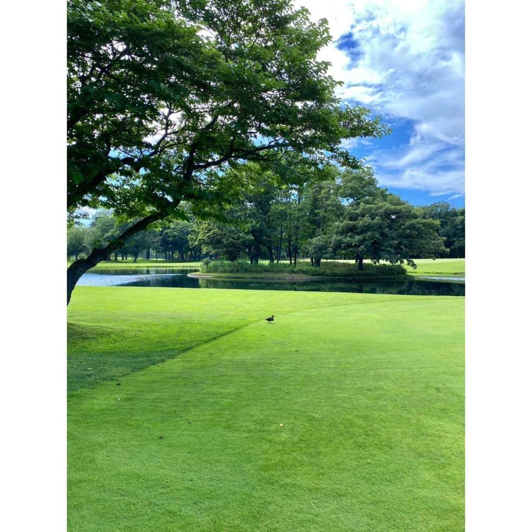 芦崎愛さんのインスタグラム写真 - (芦崎愛Instagram)「夏の思い出⛳️  #latergram #ゴルフ 2022.7月上旬」7月23日 10時55分 - mana_ashizaki