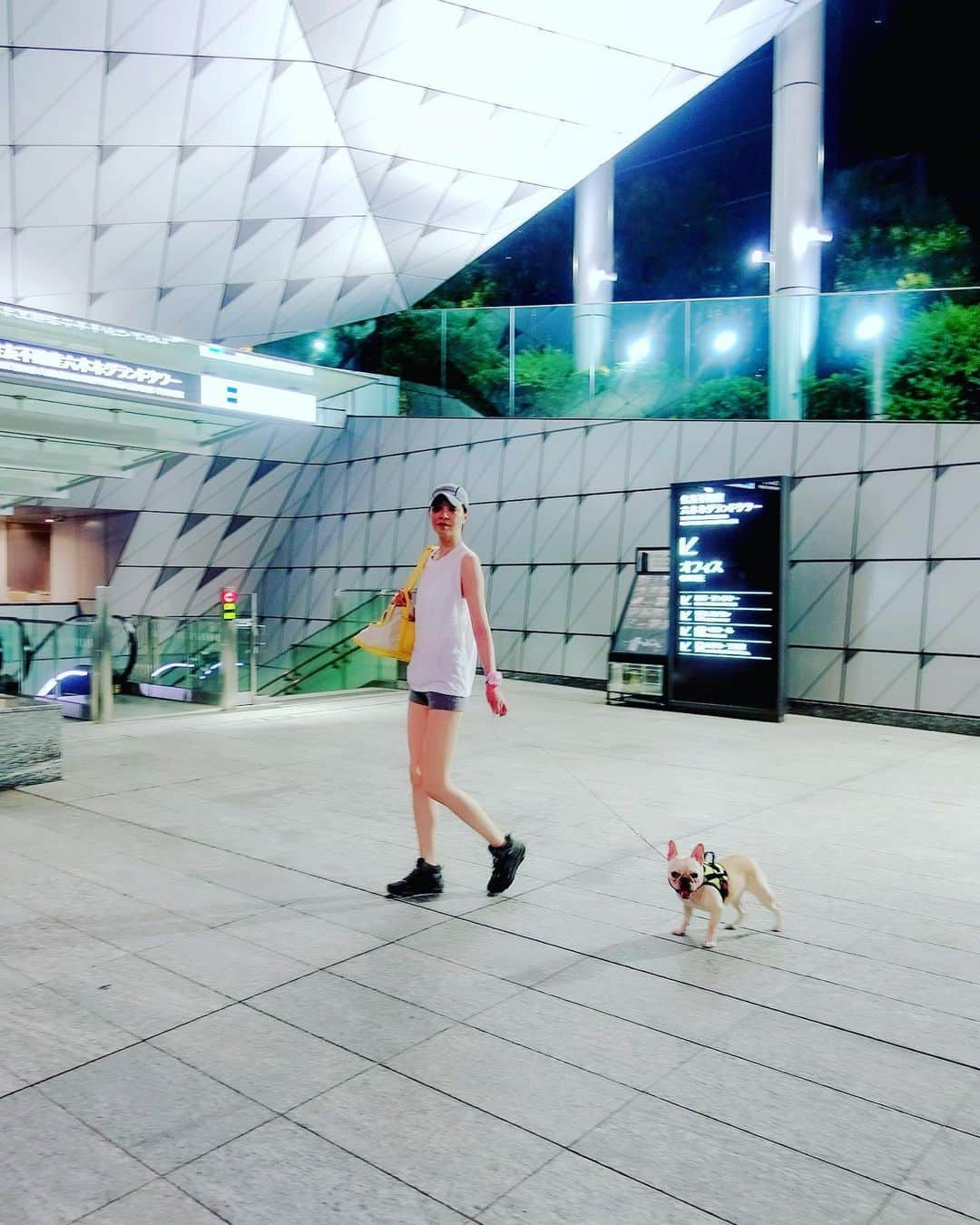 川原亜矢子さんのインスタグラム写真 - (川原亜矢子Instagram)「A great gift for my dog ✨ #nightwalk #frenchbulldog #dog #tokyo #jolydog #yojinyo #夜散歩 #フレブル #犬 #桜坂azul #ジョリードッグ #いぬのおやつ」7月23日 16時38分 - ayakokawahara