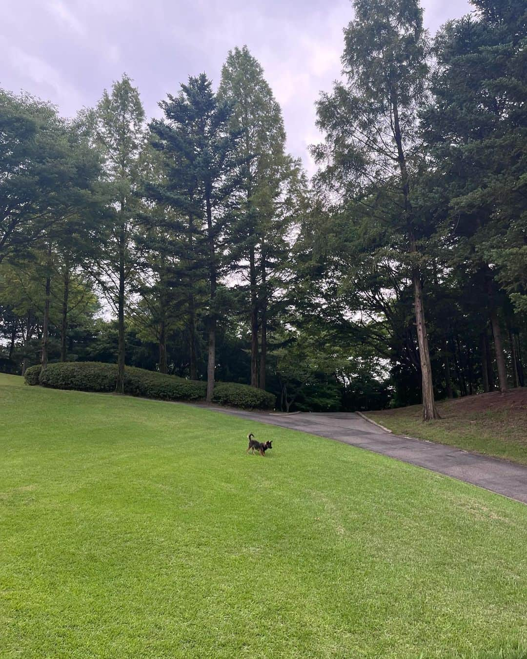 キム・ミニョンさんのインスタグラム写真 - (キム・ミニョンInstagram)「우당탕탕 골프라운딩 ⛳️ 개떡같이쳐도 찰떡같이 쳤다고 해주는 자존감지킴이 모임이었다 ㅋㅋㅋㅋㅋㅋㅋ 저 죄금 늘었쥬? 골프의 재미를 찾아가고있숴요??!!」7月23日 17時55分 - minyoung_aori