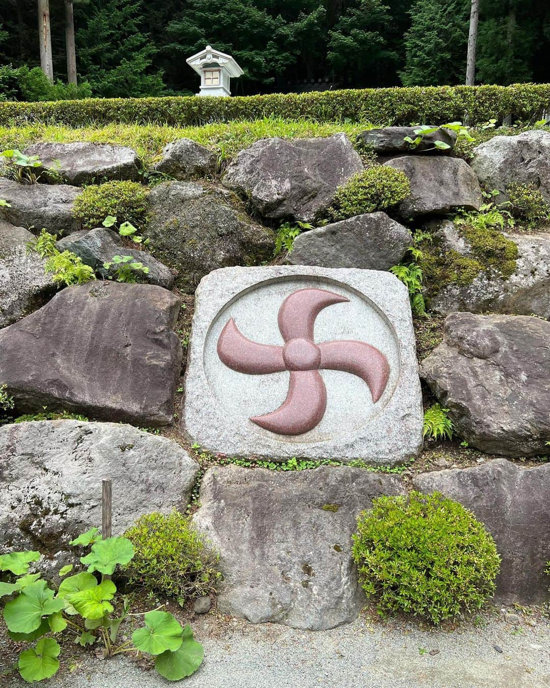 庄司ゆうこさんのインスタグラム写真 - (庄司ゆうこInstagram)「富士山登山の初日に神社巡りもしてきましたぁー😆 不ニ阿祖山太神宮 →新屋山神社 →新屋山神社本宮 →新屋山神社奥宮 と行き、その間にうなよしという鰻屋さんでランチまでするというスーパーマイペースなメンバーにガイドさん待ちくたびれてましたがそれもまたいい思い出😆笑 御朱印集めをしているので一気に御朱印がたまって嬉しかったなぁー😍 やはり富士山頂上で頂いた御朱印と頂上まで登った証明書は宝物❣️ 人がいなくて風も吹いて呼ばれてる感じがして感動的だった🥺写真や動画じゃなかなかパワーが伝わりにくいんだけど、めちゃくちゃパワーを感じた神社でした！！ しかもこの日は一粒万倍日だったんだよぉ🤗 ここ最近の私は週1氏神様の恵比寿神社と月1明治神宮には行ってるけど、年内にまだ行ったことのない神社巡りはしたいなぁ⛩   #不ニ阿祖山太神宮 #新屋山神社 #新屋山神社本宮 #新屋山神社奥宮#うなよし#鰻#山梨#富士山#神社#神社巡り#御朱印集め#一粒万倍日#スーパーポジティブ#歩くパワースポット」7月23日 23時54分 - yuko.shoji