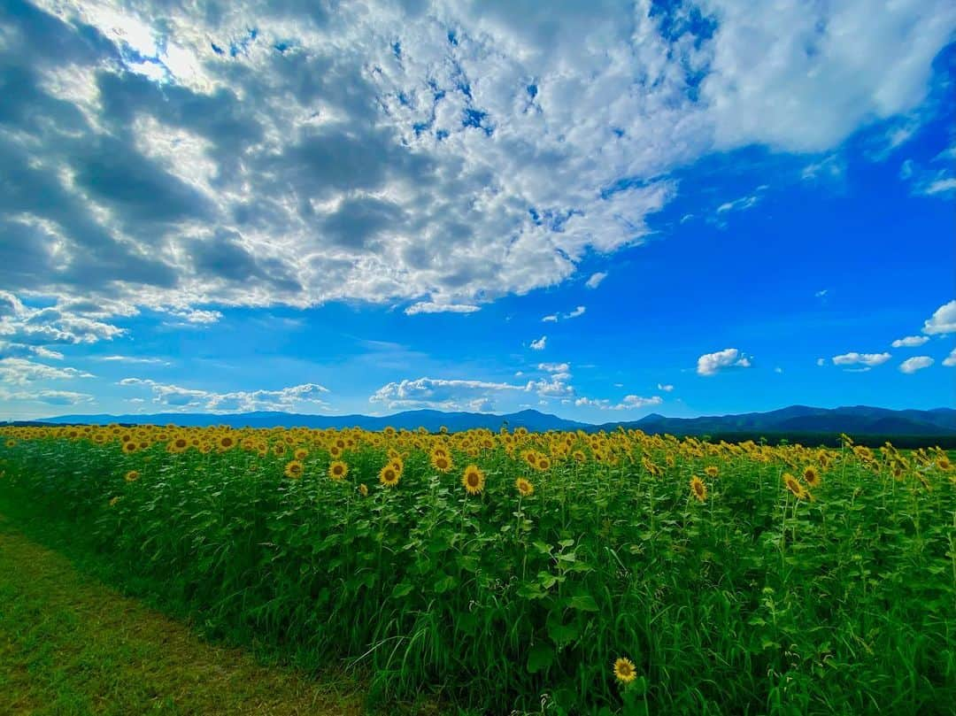 神崎紗衣さんのインスタグラム写真 - (神崎紗衣Instagram)「僕の夏休み🌼🌼💕」7月23日 23時56分 - kanzaki_sae