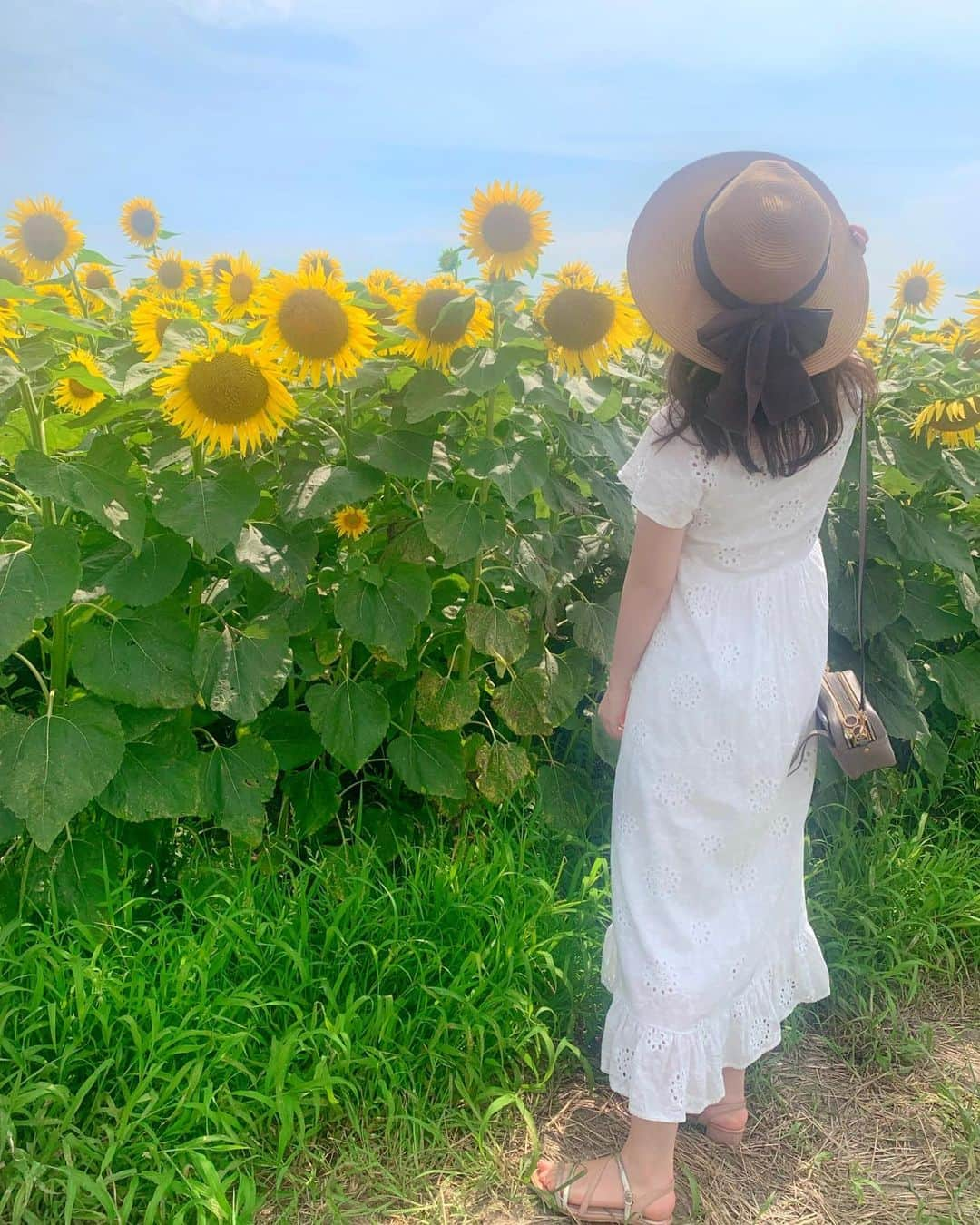 遠野愛さんのインスタグラム写真 - (遠野愛Instagram)「2022.07.23 夏を感じた🌻  #夏 #ひまわり#ひまわり畑  #花 #summer #flowers #sunflower #福岡 #柳川」7月24日 13時10分 - ai.tono_fbs