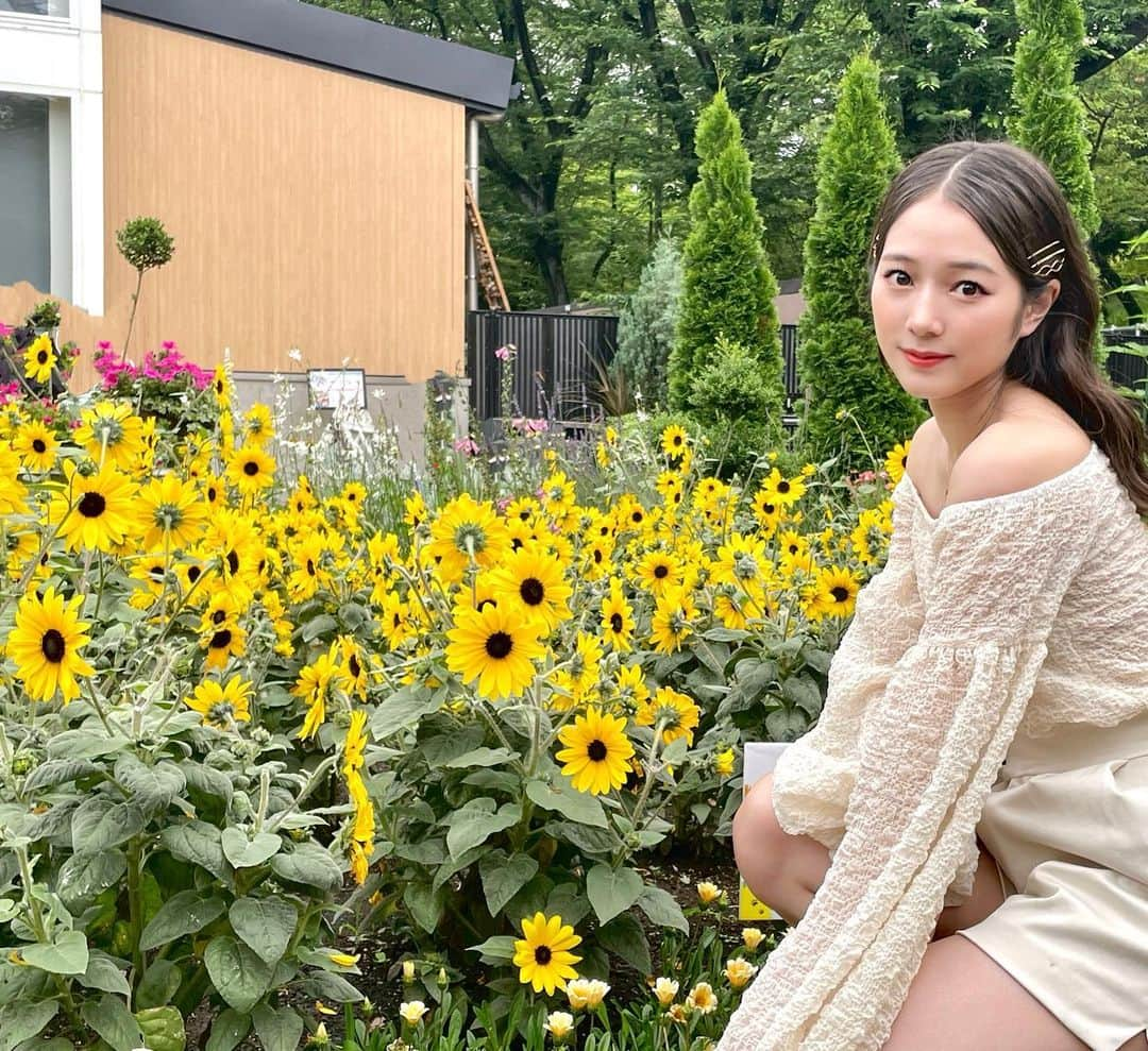 谷本安美さんのインスタグラム写真 - (谷本安美Instagram)「* ちっこいひまわり可愛かった🌻🌻 ⁡ ⁡ ⁡ ⁡ #ひまわり #夏 #花 #flower #トップス #ボトムス #ロザリームーン #rosarymoon #ファッション #fashionstyle #服 #洋服 #fashionpost #夏コーデ #ootd #ヘアピンアレンジ #ヘアアレンジ #ウェーブヘア #カメラ #ミラーレス #photo #photoshot #写真 #フォロー #follow #followme #idol #ハロプロ#つばきファクトリー #谷本安美」7月24日 17時40分 - ami_tanimoto.official