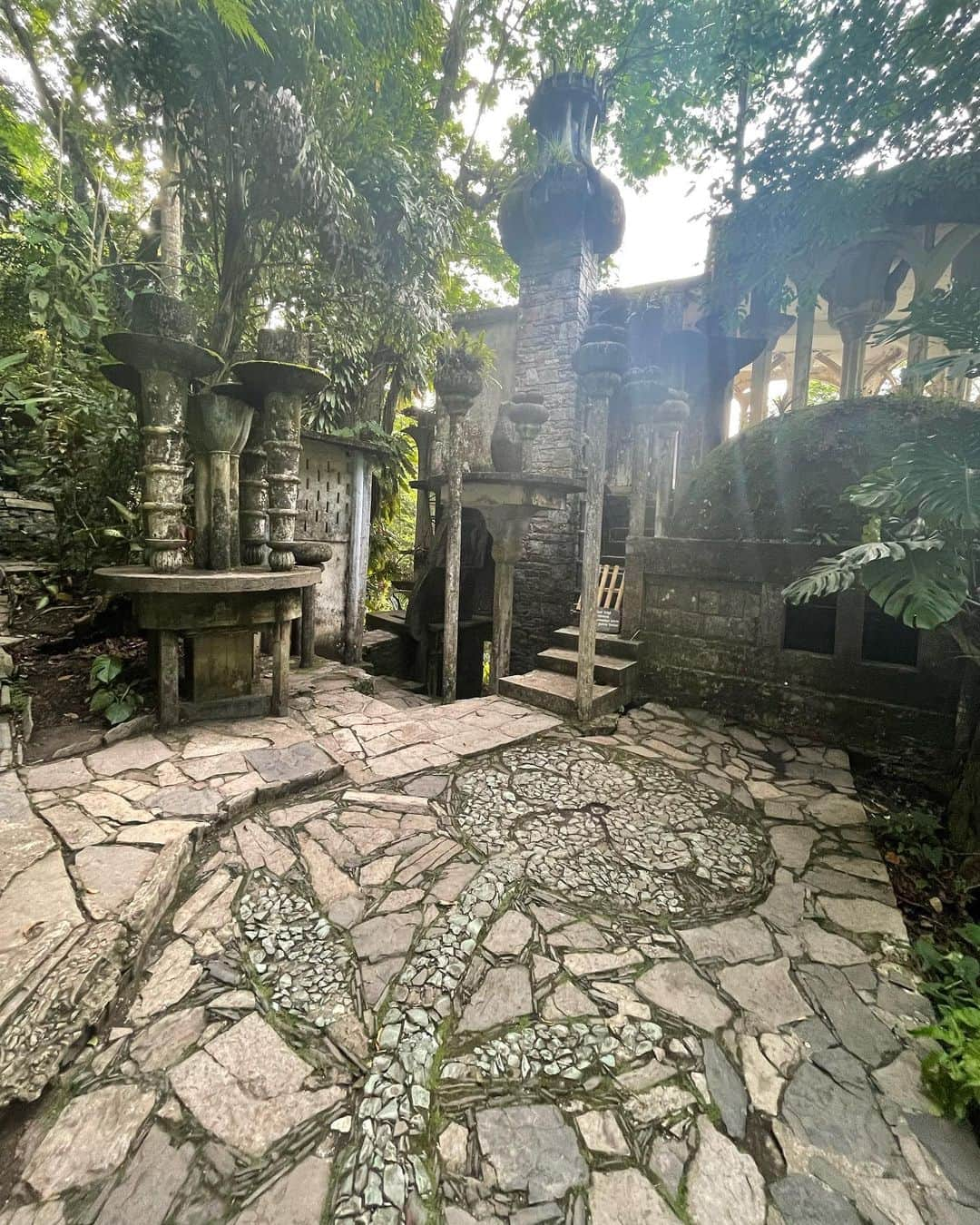 水原希子 さんのインスタグラム写真 - (水原希子 Instagram)「Take me back to Las pozas🐚💕🐸」7月25日 8時22分 - i_am_kiko