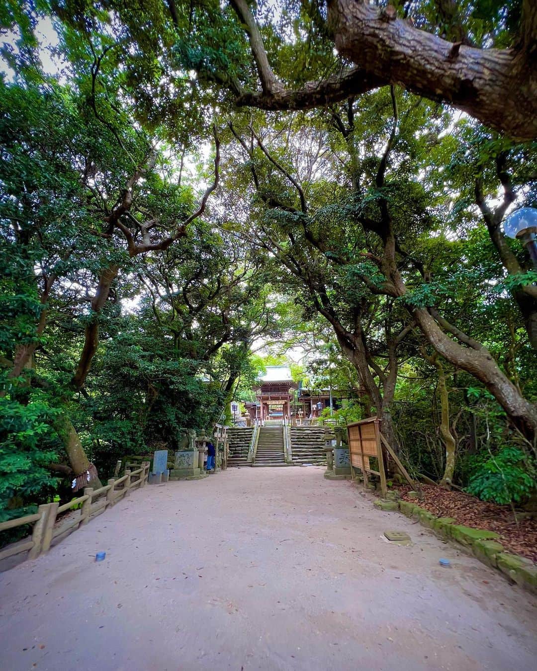 武尊さんのインスタグラム写真 - (武尊Instagram)「御礼参りへ🙏🏻⛩ 自然の中が一番落ち着く。 今生きていれることに感謝。」7月26日 0時01分 - k1takeru