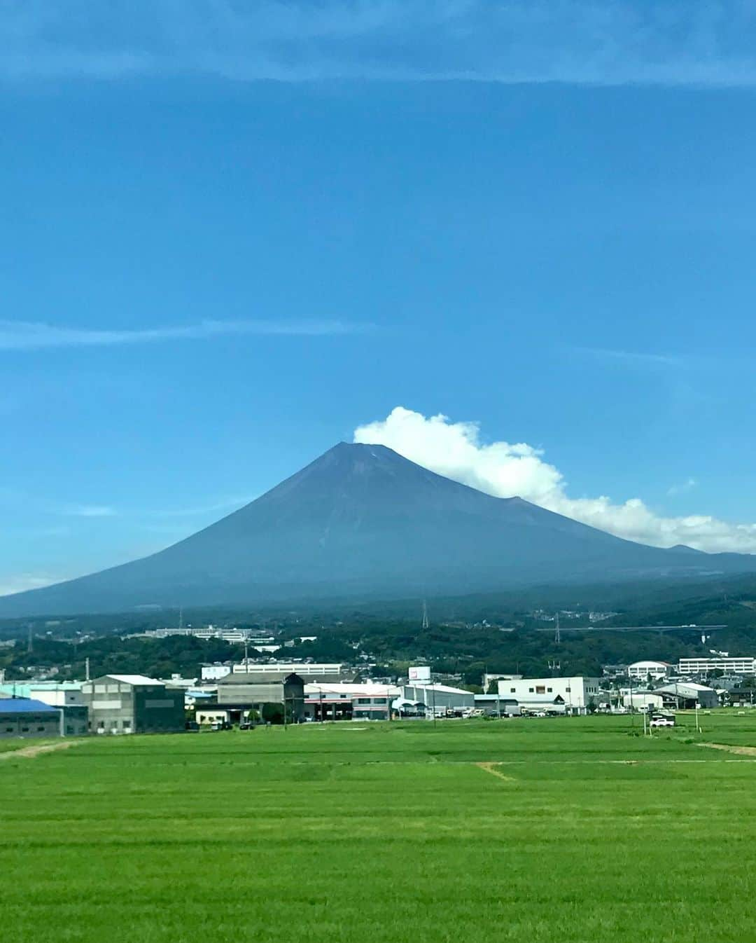 伊藤聡子さんのインスタグラム写真 - (伊藤聡子Instagram)「先週のひるおび！の衣装はグリーンの柄のワンピースでした😊 久しぶりに爽やかな夏の富士さまに会えて晴れやかな気持ちになりました✨ 富士山ってやっぱりすごい💕 #ひるおび#富士山#伊藤聡子」7月28日 8時46分 - satokoito73