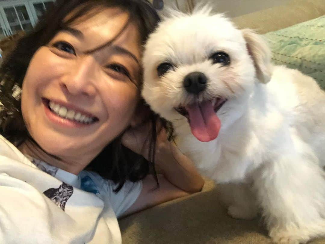 小野真弓さんのインスタグラム写真 - (小野真弓Instagram)「おはようございます😆 今朝も早よから〜 あつーーーい😆🌺  今日は、おかーさん みんなと一日、一緒にいるよ🥺💘 🐶🐶🐯🐯＋ 🐈🐱🐱🐱🐱🐱  お部屋でゆっくり過ごします🙋‍♀️🏡🍃  お外で活動中のみなさま、 熱中症に気をつけて🍹 良い一日をお過ごしください☺️🍉  #チワワ#ハナちゃん #チワマル#ハルくん #雑種猫兄妹#アオくん#ナナちゃん #犬と猫のいる暮らし#犬猫日記  📺 そして、 放送延期になっていました、 こちら↓明日放送にて、 再度のお知らせです☺️  7月29日（金）１９時〜 フジテレビ　 【坂上どうぶつ王国】 3時間スペシャル  お手伝いをさせて頂いております、 保護ハウス、さかがみ家の密着も オンエアになります☺️🐾  さかがみ家の 保護っ子はもちろんのこと✨😆  我がの、 ハナハルアオナナ✨  預かりっ子チーム ろくママ＆まみむめも、 そして、 現在はトライアル中の、ハチベエも映して頂きました😆  是非ご覧ください😊🐾」7月28日 10時53分 - hanaharuaroi