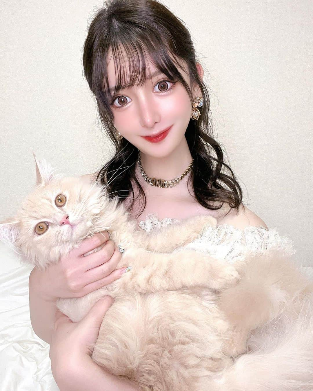 ゆうめろさんのインスタグラム写真 - (ゆうめろInstagram)「久しぶりにノアたんとツーショット🐈💗 ノアが産まれてきてから半年がたったよ〜！ こんなに大きくなりました😳❤️ ほんとに毎日癒してくれて大事な家族🐾 いつも寝る時は私の顔の横で寝てくれるの🥹 お座りもお手も出来るし賢いうちの子✨ ・  #サイベリアン  #猫のいる暮らし  #猫のいる生活  #子猫」7月28日 12時08分 - yk.o0