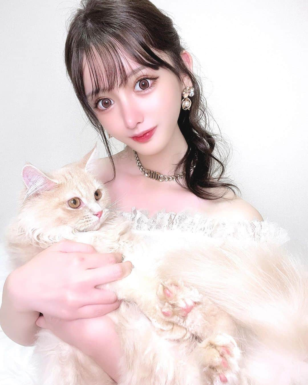 ゆうめろさんのインスタグラム写真 - (ゆうめろInstagram)「久しぶりにノアたんとツーショット🐈💗 ノアが産まれてきてから半年がたったよ〜！ こんなに大きくなりました😳❤️ ほんとに毎日癒してくれて大事な家族🐾 いつも寝る時は私の顔の横で寝てくれるの🥹 お座りもお手も出来るし賢いうちの子✨ ・  #サイベリアン  #猫のいる暮らし  #猫のいる生活  #子猫」7月28日 12時08分 - yk.o0