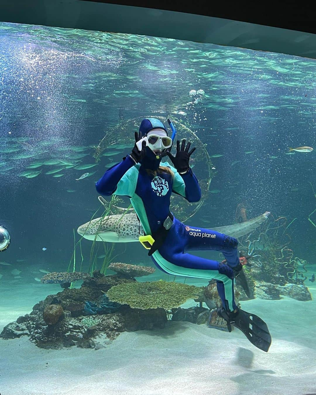 アイリーン・キムさんのインスタグラム写真 - (アイリーン・キムInstagram)「Swimming with sharks🤯🦈 너무 무서웠지만 도전해서 선공! 아쿠아리스트님들 정말 멋있는 직업👍🏻」7月28日 17時31分 - ireneisgood