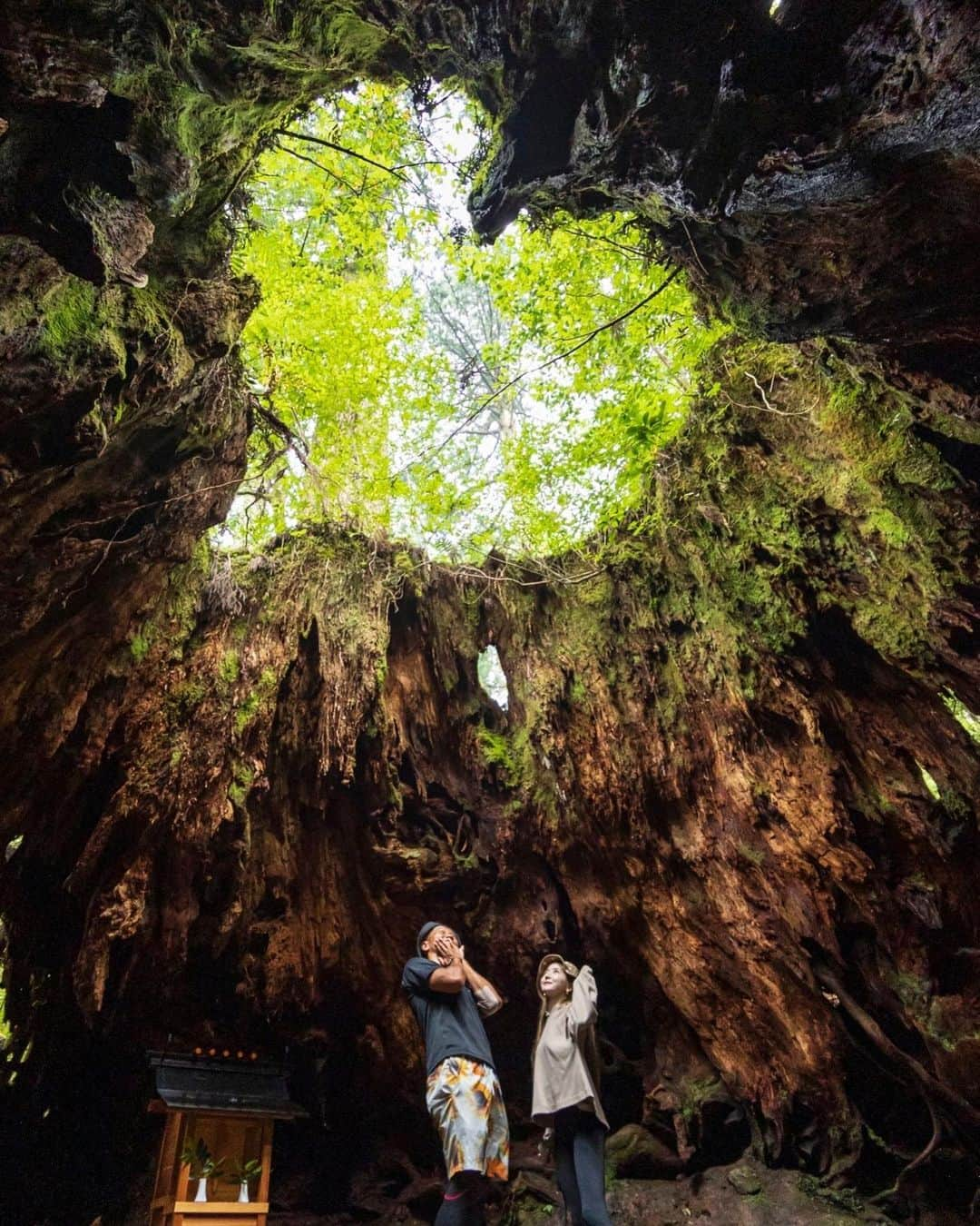 城戸康裕さんのインスタグラム写真 - (城戸康裕Instagram)「ハートロック⛰♥️⛰ ・ ・ 屋久島のウィルソン株ってとこだけど、 ・ ・ 嫁がずっとウィルキンソンって言ってた🍹笑 ・ ・ 娘を預けたところの保育士さんの旦那さんが、たまたまプロカメラマン兼トレッキングガイドで縄文杉トレッキングにいて、 ・ しかも元同じ団体のMAキックのプロキックボクサーだった😆❗️ ・ めっちゃ色々教えてくれて優しい方でした✨✨ ・ みなさん、屋久島に来た際はぜひこちらで頼んでみて💁‍♂️✨ @soramido_yakushima  #屋久島 #鹿児島 #縄文杉 #ウィルソン株 #ウィルキンソン 笑 @diviner_official  @zaapfamily」7月28日 20時44分 - yasuhiro.kido