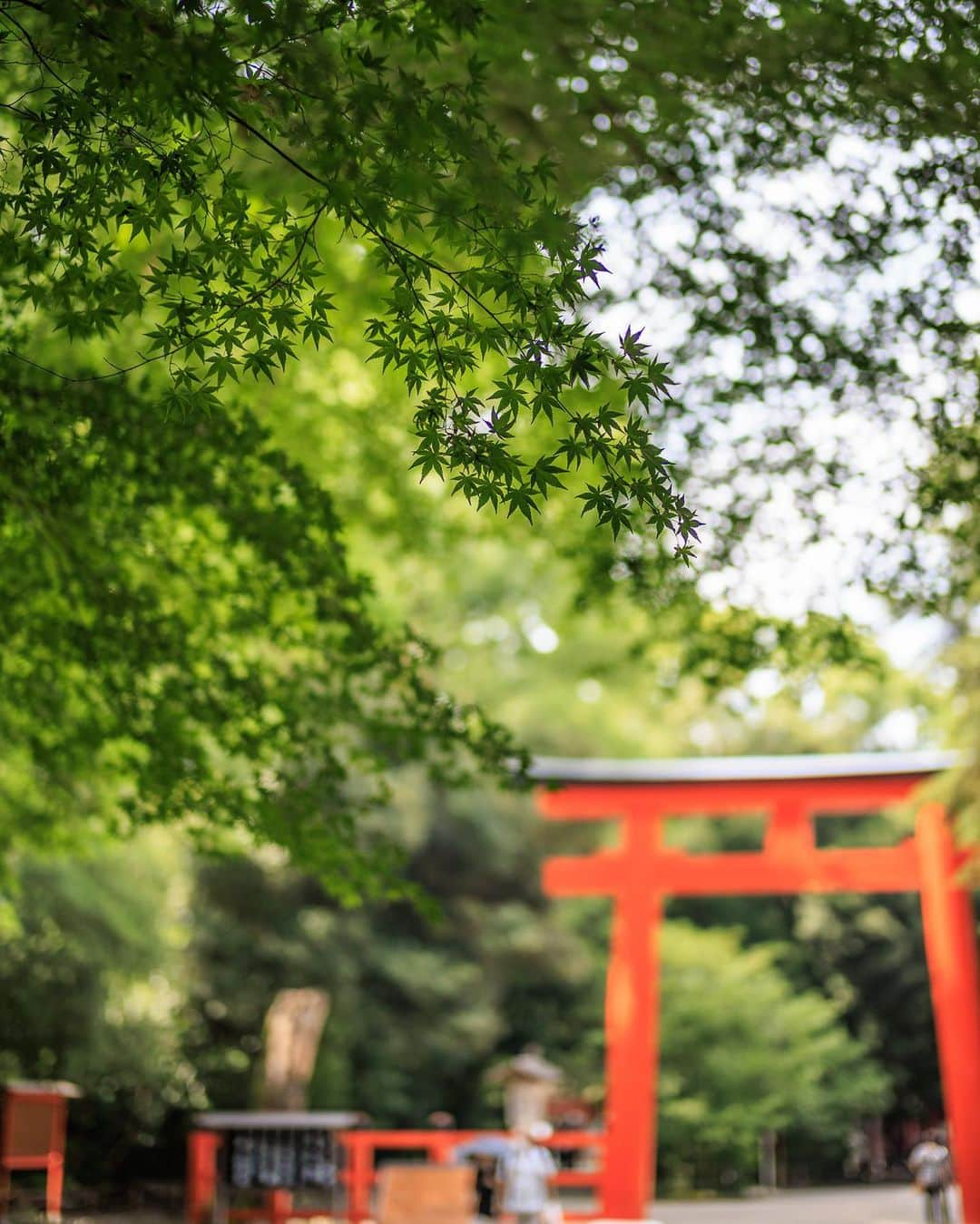 SHOCK EYEさんのインスタグラム写真 - (SHOCK EYEInstagram)「世界遺産の構成資産の一つ、京都にある下鴨神社の摂社として古くより祀られ、女性守護としての信仰を集める河合神社⛩  まさに女性の味方のこの神社さんはこの鏡絵馬で有名✨  是非、絵馬にあらかじめ描かれた顔を自分の顔に見立てて、美しい女性になれるよう願いを込め、お化粧しよう。  絵馬を描くためのお化粧室も用意されていたよ＾＾  皆さんが身も心も美人さんになれますように🙏✨  #河合神社 #河合神社で美人祈願 #下鴨神社 #世界遺産 #京都 #kyoto #worldheritage #kawaishrine #shrine #japantravel #japantrip #canon #canonR5 #beautifuldestinations #discoverjapan #discoverearth #voyaged #awesome_photographers #IamATraveler #wonderful_places #japanphoto #japanphotography #japan_of_insta #livingonearth #theglobewanderer」7月29日 9時58分 - shockeye_official