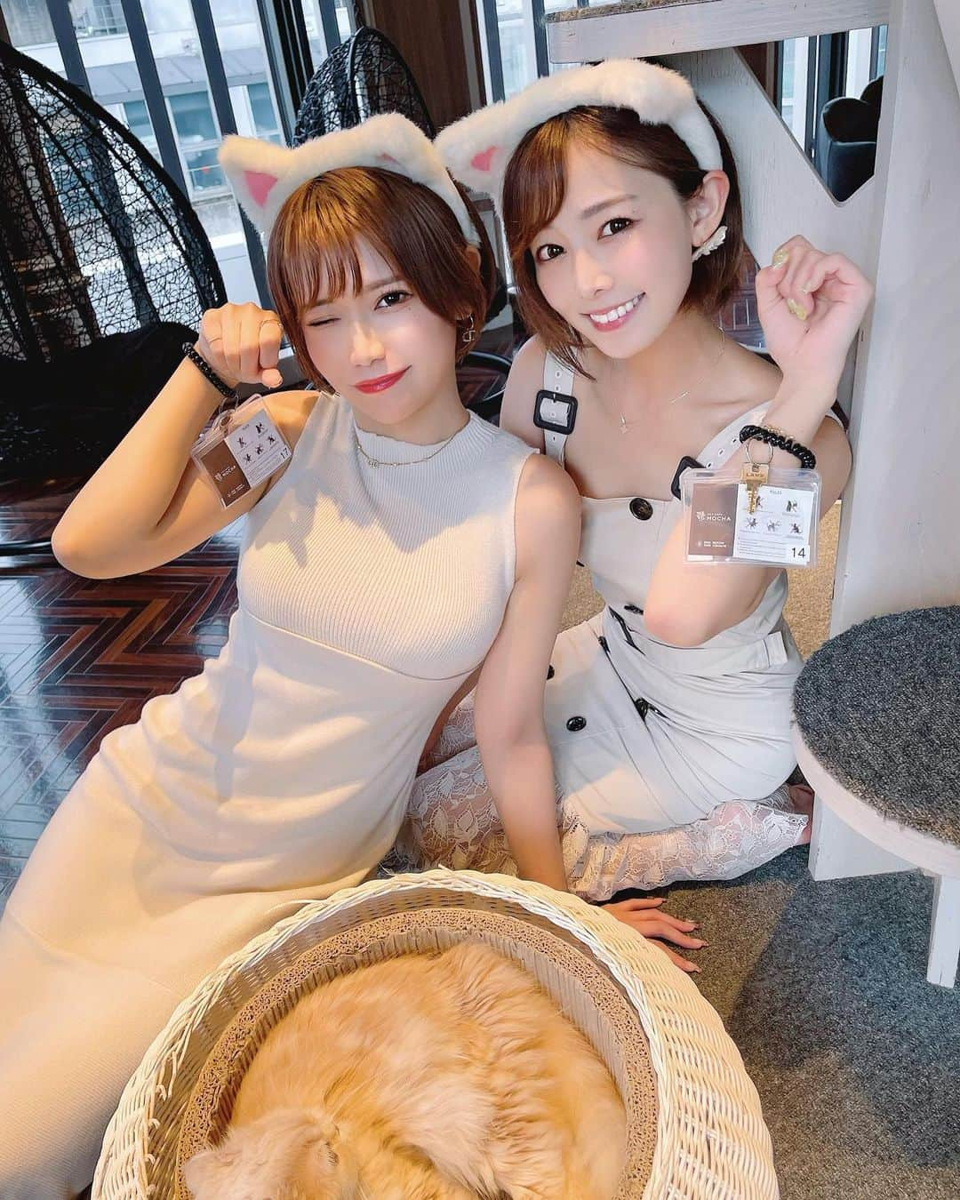 相良ましろさんのインスタグラム写真 - (相良ましろInstagram)「. シンディちゃんのお誕生日お祝いしてきました🫶 ペニンシュラのマンゴーアフターヌーンティー からの猫カフェでまったり癒され🐈💛🤍 私にお祝いさせてくれてありがとうございます🥹🥹💓💓  シンディちゃんといると、楽しいのはもちろん仕事への熱意や向上心が凄くあって、勉強になるし刺激されて私も頑張ろうといつも気付かせてくれます😌！ ほんとに尊敬してる存在です👧❤️  この日のシンディちゃんも天使のように可愛かったなぁ🥲❤️‍🔥  8月のビッグイベントも楽しみっ-⁽ -´꒳`⁾-✨️🌻  最後に可愛いが詰まった動画あります。笑  . #ペニンシュラ東京 #マンゴー #アフターヌーンティー #AT #ペニンシュラアフタヌーンティー #バースデーサプライズ #happybirthday #シンディ #ショートヘア #ショートカット #猫カフェ #猫耳 #猫カフェmocha #東京カフェ #日比谷カフェ #ヌン活」7月29日 21時09分 - mashiro_sagara