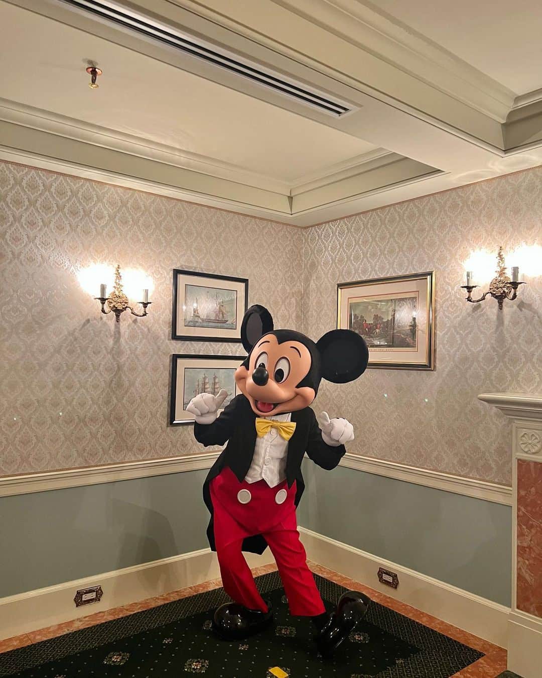 カレンさんのインスタグラム写真 - (カレンInstagram)「久しぶりのDisney🏰✨ そして念願のクラブ33🥹💓最高すぎました…  扉の向こうの世界にも夢が詰まってて これ以上ない過ごし方でした😍🙏 夢が叶いまくったよ😭💘 (写真はNGなので思い出フォルダに保存♡)  #ディズニー33 #club33 #クラブ33 #会員制 #Disneyland」7月30日 13時33分 - cjd_karen
