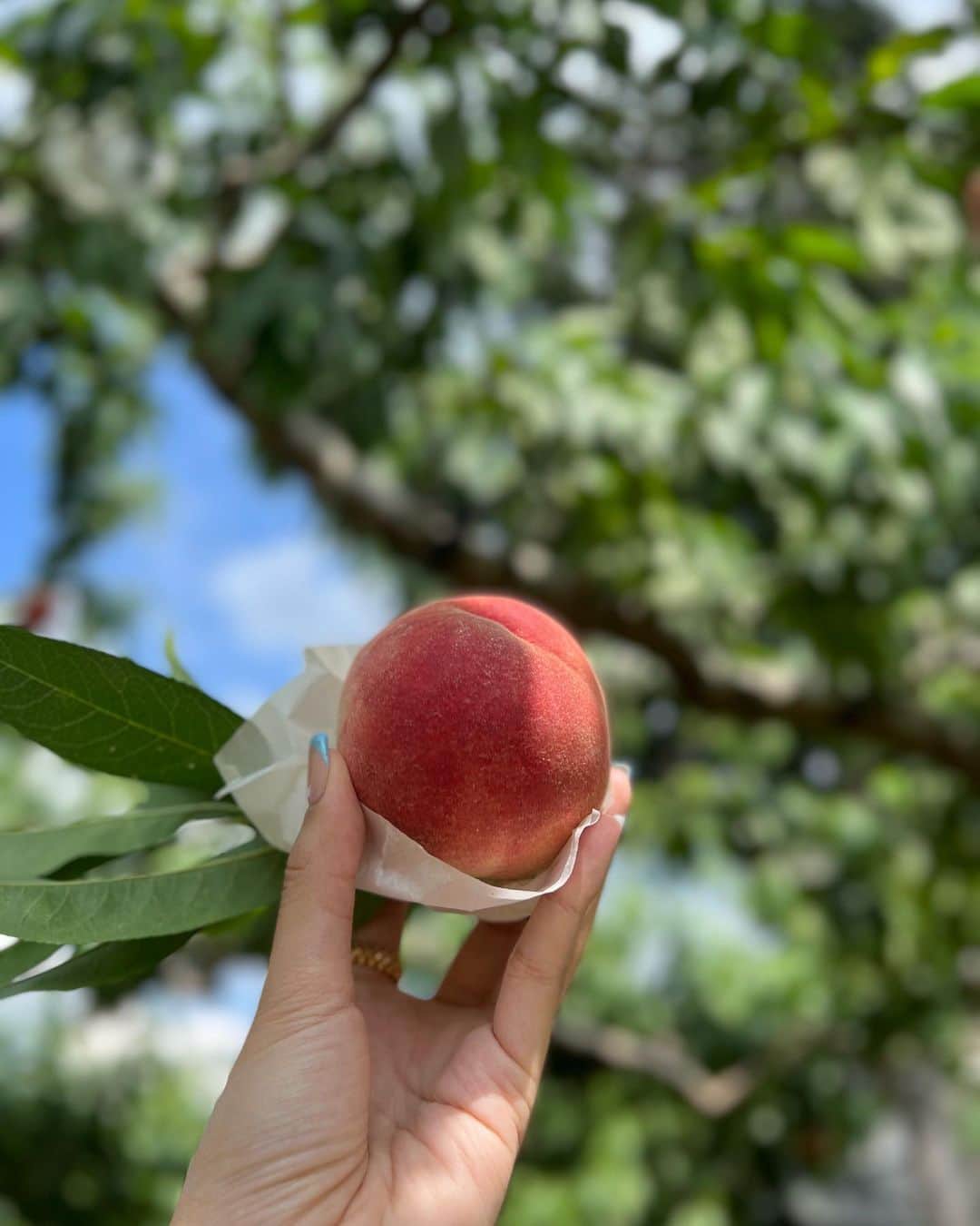 大石絵理さんのインスタグラム写真 - (大石絵理Instagram)「the day for peaches 🍑🍑🍑」7月30日 16時32分 - erioishitokyo