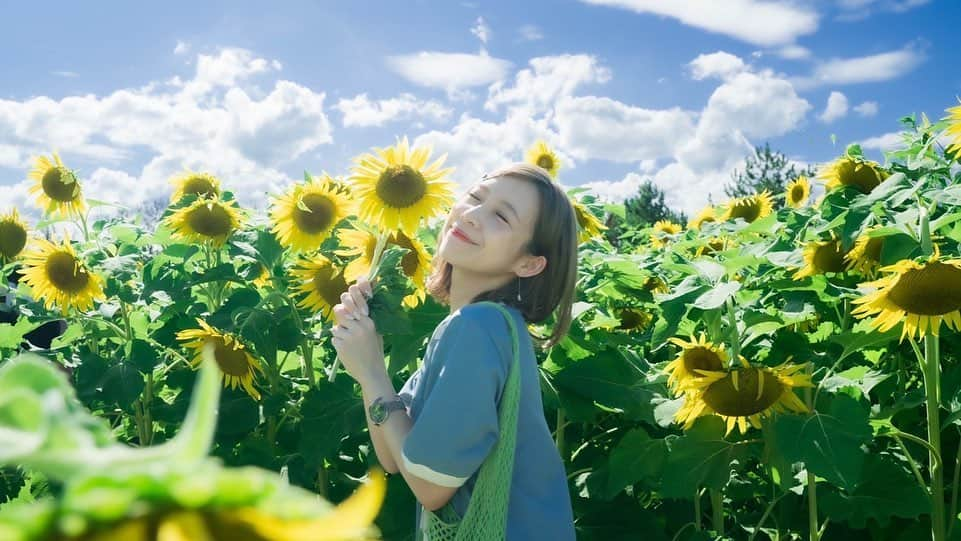 MIYUさんのインスタグラム写真 - (MIYUInstagram)「⁡ ⁡ ひまわり畑🌻 ⁡ ⁡ ここのひまわりさんたち 持って帰ってOKだったんです🌻✨ ⁡ ⁡ 花瓶に入れたら ティナがクンクンしてました(笑) ⁡ ⁡ ⁡ みなさま、 夏は好きですか？？☺︎︎ ⁡ ⁡ ⁡ 私は大好きーー🍉🌞🎐 ⁡ ⁡ 夏が好きというか、 夏らしい事が大好きです🐼♡ (泳げないけど、、、🤫) ⁡ ⁡ ⁡ ⁡ ⁡ #ひまわり畑 #滋賀 #おすすめスポット #オリックス #Bs2022 #BsGirls #オリ姫 #野球 #プロ野球 #オリックスバファローズ  #野球女子 #野球好き #ユニフォーム女子  #baseball #ORIX #Buffaloes #MIYU #miyu_337  #🐼」7月31日 21時23分 - miyu_bsgirls_337