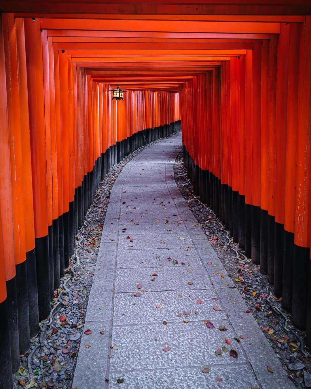 SHOCK EYEさんのインスタグラム写真 - (SHOCK EYEInstagram)「日本の景色は美しい🙏✨ 色々と見に行ってごらん？ この国をより好きになるよ。 自分を少し誇らしく思うよ。  #japantravel #japantrip #canon #canonR5 #beautifuldestinations #discoverjapan #discoverearth #voyaged #awesome_photographers #IamATraveler #wonderful_places #japanphoto #japanphotography #japan_of_insta #livingonearth #theglobewanderer」8月2日 5時25分 - shockeye_official