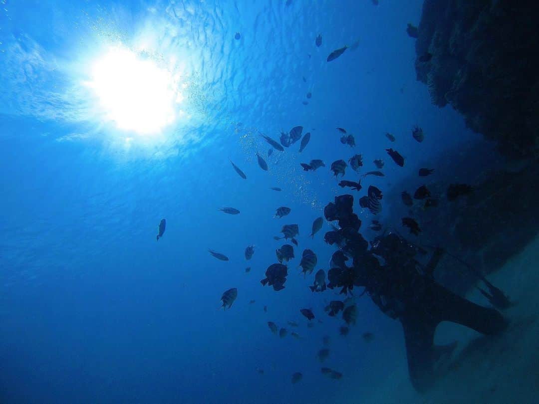 浅田舞さんのインスタグラム写真 - (浅田舞Instagram)「⁡ 美しい景色に感動🌏。 大海原に身を委ねて🌊.泳げない私ですが...とても心地良い時間でした✨。」8月2日 14時43分 - asadamai717