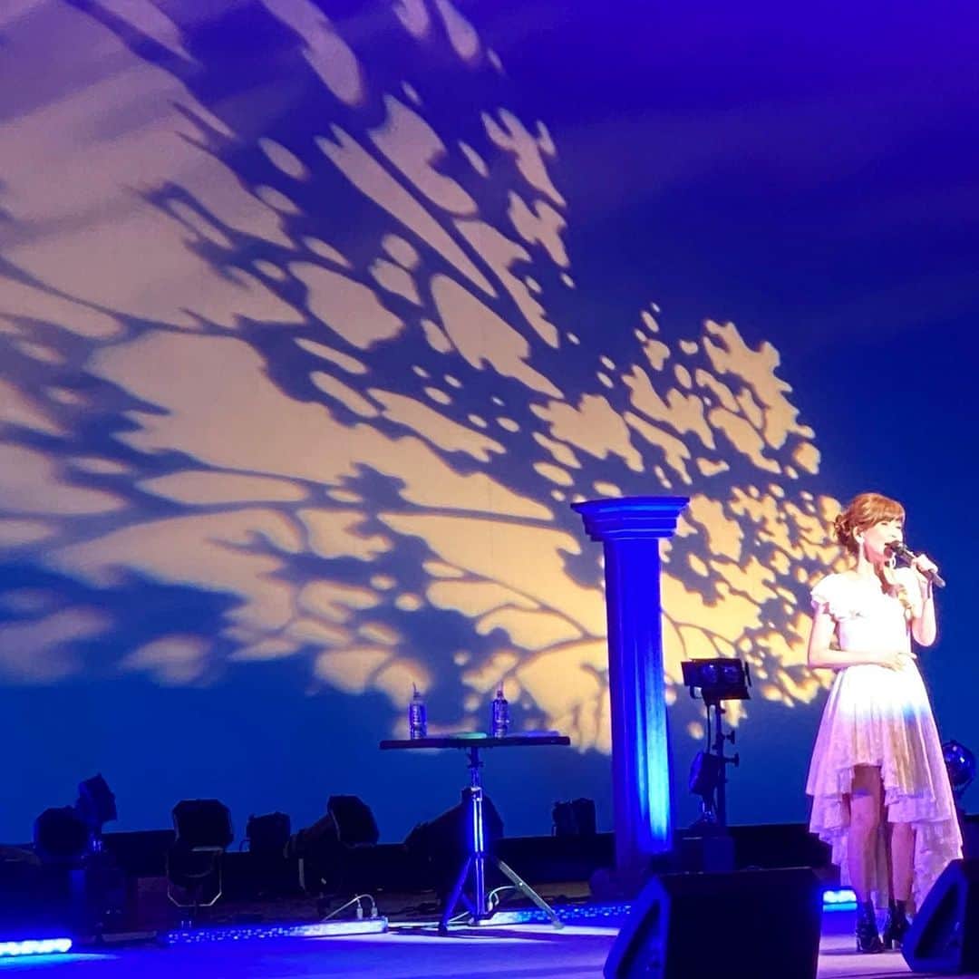 松本伊代さんのインスタグラム写真 - (松本伊代Instagram)「先週末の  宮崎県 小林市 門川町 のコンサート。  とっても暖かい皆さん。 声が出せない応援嬉しかったです。  この時期 私達に会いにきてくれることを 選択してくれて 本当にありがとうございました。  優ちゃんと 楽しく 歌って踊って 皆さんから逆に元気をもらっちゃいました。  皆さんも 元気になってくれてたら 嬉しい。  今度は博子ちゃんと3人で！また行きたいです！！  そして 宮崎のライチ 甘くて美味しい！ 地鶏も！ ホテルの部屋で 宮崎の美味しい食事も堪能しました！！  #キューティー☆モリモリ #宝くじ買ってみよう！ #宮崎ライチ #美味しくてお取り寄せしちゃった #汗で前髪がべっとり💦 #早見優 #森口博子 #松本伊代 #iyomatsumoto」8月2日 18時11分 - iyo14_official
