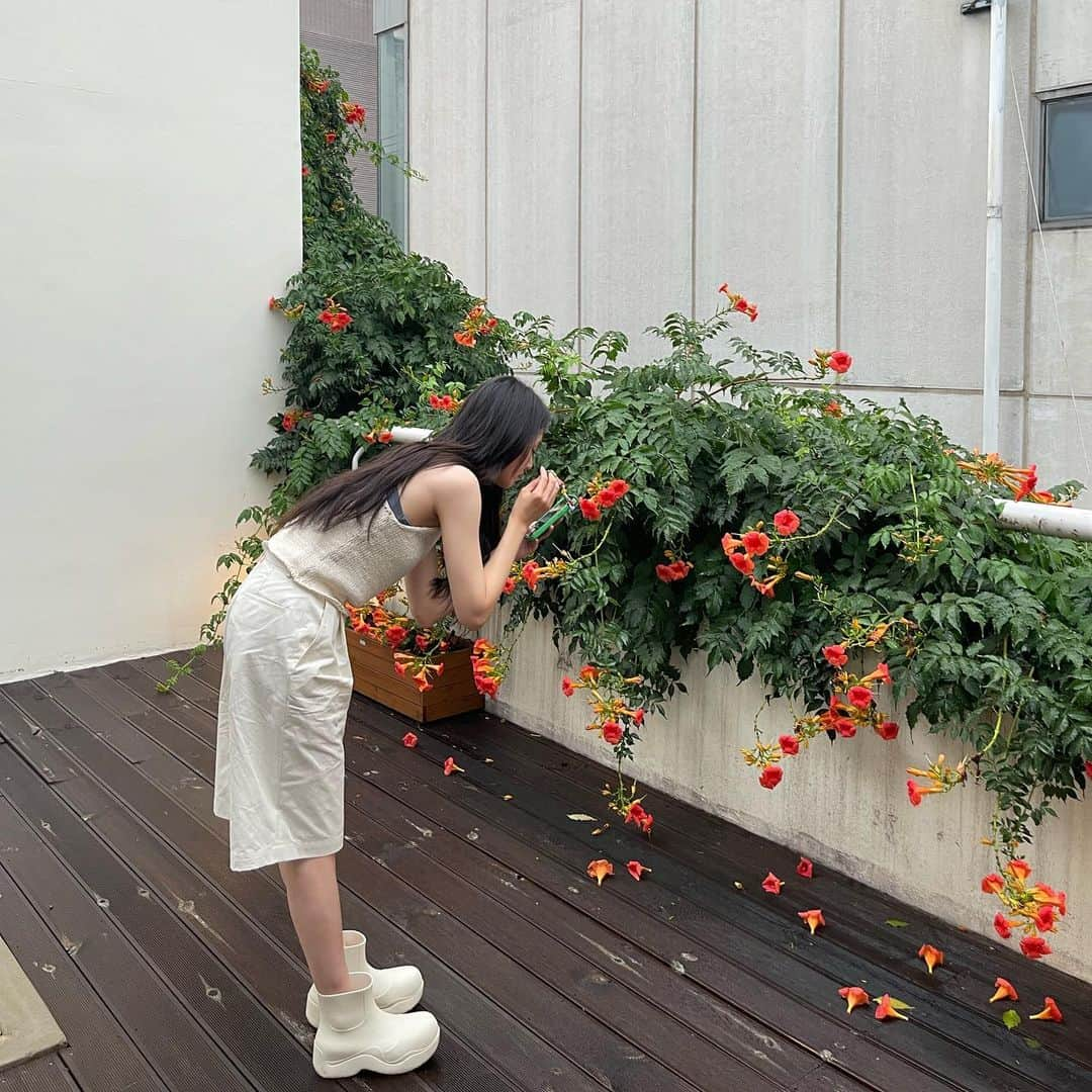 パク・ギュヨンさんのインスタグラム写真 - (パク・ギュヨンInstagram)「🥀」8月2日 22時10分 - lavieenbluu