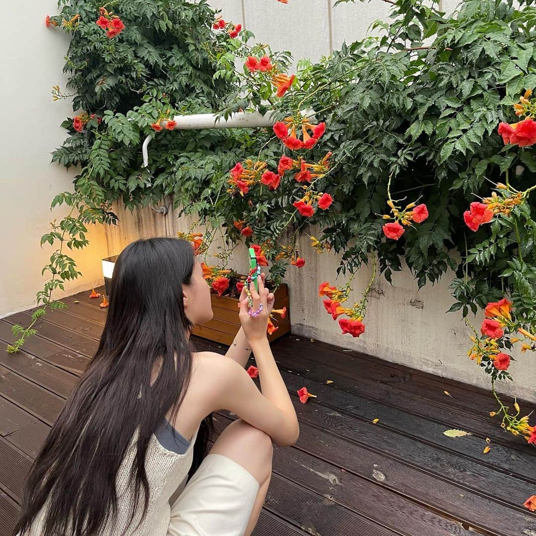 パク・ギュヨンさんのインスタグラム写真 - (パク・ギュヨンInstagram)「🥀」8月2日 22時10分 - lavieenbluu