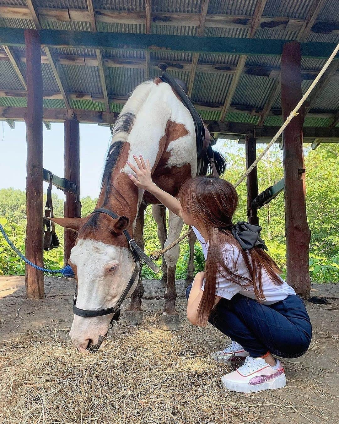 夏本あさみさんのインスタグラム写真 - (夏本あさみInstagram)「ウマ旅その2。乗馬してきました🐎 * 山をゆっくりお馬さんでとことこ。1番のんびりなキング君を担当することになってムチを使ってたんやけど、山の中アブがすごくて馬も嫌がって暴れちゃうからムチ振り回してアブ撃退していた。孫悟空😂😂 普段の乗馬はムチ見せるだけで走ってくれるからそんなこと絶対できひんけど、叩いても歩かへんキング君やからこそ出来た孫悟空技🐵 * 3ヶ月の子馬ちゃん見せてもらえたり、ワンちゃんに気持ちいい気持ちいいしたり、終わってお鮨たべたり🍣 * ありがとございました🥰🥰 * #乗馬  #トレッキング」8月3日 14時50分 - natsumotoasami