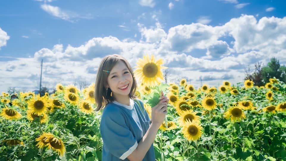 MIYUさんのインスタグラム写真 - (MIYUInstagram)「⁡ ⁡ ひまわり畑 第2弾🌻 ⁡ ⁡ ひまわり畑の写真は、 一眼レフで撮りました〜♩ ⁡ ⁡ 動画も作ろうかなと思っていて… 見て頂けますか？？🐼🥹 ⁡ ⁡ ⁡ ⁡ まもなくPLAY BALL🔥 今日は絶対勝つぞ！！！！ 顔晴れ！バファローズ✨ ⁡ ⁡ ⁡ ⁡ #ひまわり畑 #滋賀 #おすすめスポット #オリックス #Bs2022 #BsGirls #オリ姫 #野球 #プロ野球 #オリックスバファローズ  #野球女子 #野球好き #ユニフォーム女子  #baseball #ORIX #Buffaloes #MIYU #miyu_337  #🐼」8月3日 17時25分 - miyu_bsgirls_337