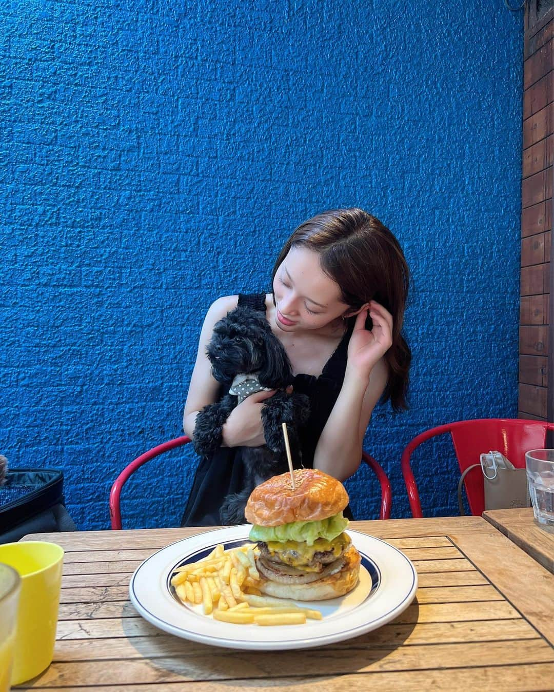 神部美咲さんのインスタグラム写真 - (神部美咲Instagram)「みみちゃんと初ランチ🍔❣️  暑かったけど 楽しそうだった🤭🥰  明日からまたがんばれそ😋  #シープー #ドッグカフェ」8月3日 17時44分 - jimbu_misaki