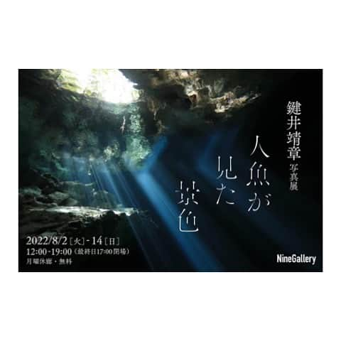 木村文乃さんのインスタグラム写真 - (木村文乃Instagram)「*** おはようございます！ 新しいことを始めたら 中々生活リズムが見出せず 毎日てんやわんやしております。 ルーティンにするまでが大変よね😛  さて、急ではありますが 本日19:10頃より水中写真家 #鍵井靖章(@yasuaki_kagii )さんと インスタライブします🤭 楽しく海のお話ししたいなと思ってます。 お時間ある方はぜひ遊びに来て下さい🙌」8月4日 9時05分 - uminokimura_official