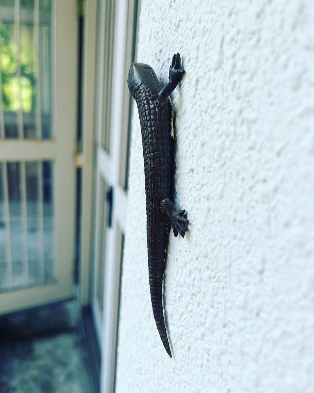 鈴木砂羽さんのインスタグラム写真 - (鈴木砂羽Instagram)「夏の緑の中に 馴染みすぎてます🌿  壁に張り付いていたコ🦎に一瞬 エエェ⁉️と 驚いたんだけど、 よく見たら、、、🤣💦  #相棒 #相棒21 #夏ロケ 🦎 #貼り付けてあったワ♡ #カワイイ」8月4日 9時31分 - bombon_sawa