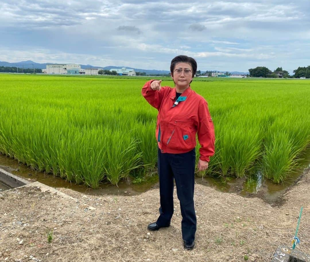 水谷千重子さんのインスタグラム写真 - (水谷千重子Instagram)「おはようございました😉 8月2.3と長岡花火堪能してまいりました🎆🙇‍♀️🙇‍♀️ も〜感動の連続で明日からまた、がんばろって思えましたわよ😌😌色彩豊かな花火をいくつかまたアップさせて頂きました🎇 新潟放送のアナウンサーの皆様とスーパーササダンゴマシンさんとのお写真よ✌️西尾一男ちゃんが番組内でレポーターになってナポリのピッツァをレポートしてきたみたいよ🍕 誕生日ケーキ🎂もお気遣いありがとございます😭 また必ずアイウィルビーバッグでよろしくどうぞ🙇‍♀️🙇‍♀️ #長岡花火大会 #水曜見ナイト #新潟放送 #西尾一男の長岡さんぽ #段取りありがとうございます」8月4日 10時10分 - mizutanichieko