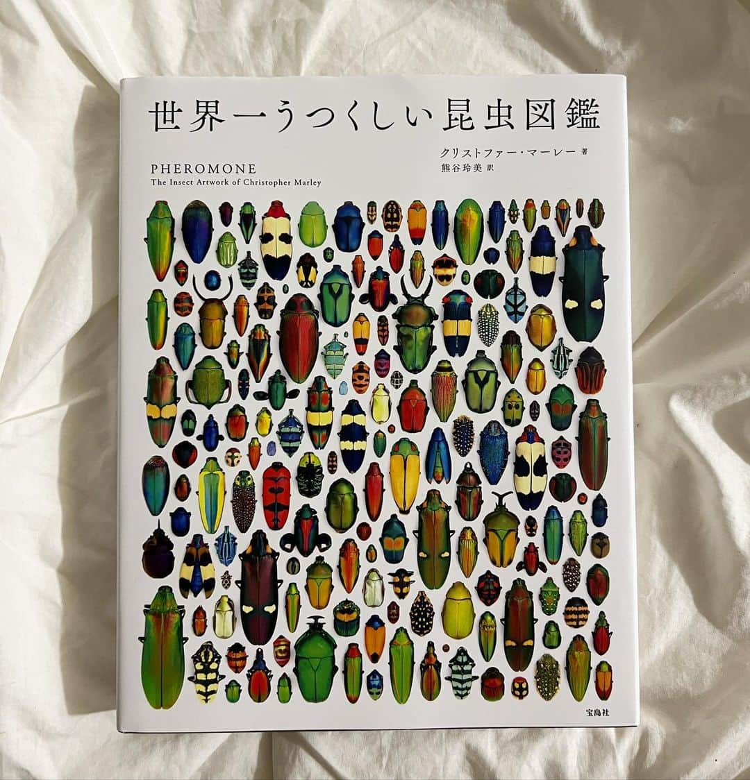 華村あすかさんのインスタグラム写真 - (華村あすかInstagram)「知らない世界がこんなにあるのかと見てると世界中旅したくなる」8月4日 23時06分 - hanamura_asuka