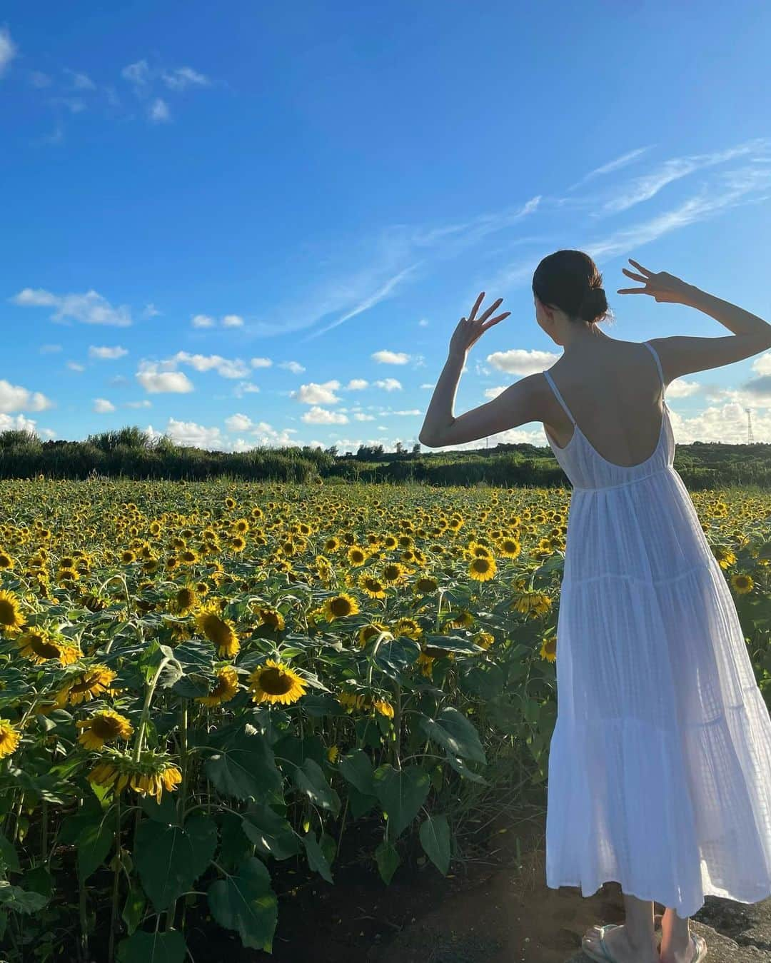 松島花さんのインスタグラム写真 - (松島花Instagram)「: 今日で33歳になりました🌻 同じお誕生日の皆さん♡ 8月生まれの皆さん♡ おめでとうございます😆🍉 : いつもイイね♡やコメント♡して 下さってありがとうございます🙏🏻 私は皆さんからのコメントに いつも元気をもらっています🤗 33歳もよろしくお願いします💛 : #10時37分産まれ #8月5日  #誕生日 #夏休み中」8月5日 10時39分 - hana_matsushima_official