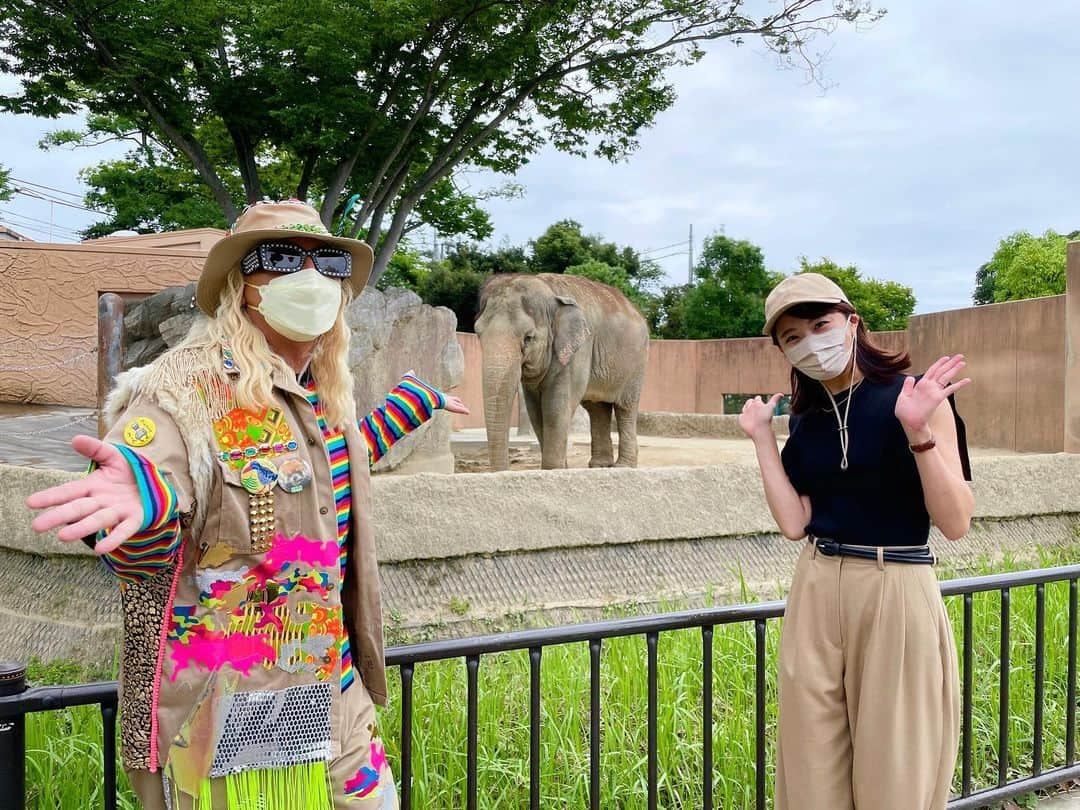 松村未央さんのインスタグラム写真 - (松村未央Instagram)「* 今週もポップUP！の中継でした🍿✨  今日は茨城県日立市かみね動物園から 動物が大好きなDJ KOOさんとお送りしました✨ 楽しんでいただけましたか？☺️  久しぶりの動物園にテンションが上がりました🦒🐘🐅  #ポップup #動物園から生中継」8月5日 14時44分 - mio.matsumura_